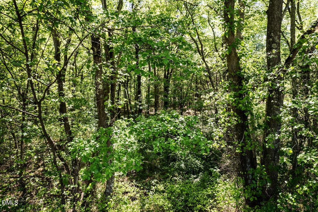 NC 87 (parcel 104826)-7 - 0 S South Nc 87 Hwy, Graham, NC 27253