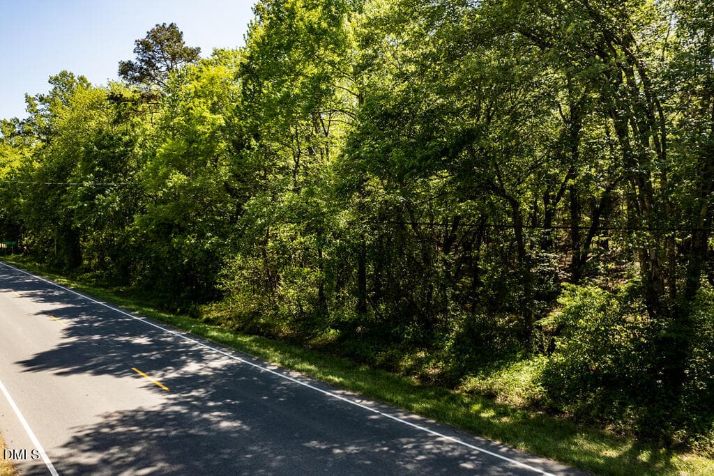 NC 87 (parcel 104826)-8 - 0 S South Nc 87 Hwy, Graham, NC 27253