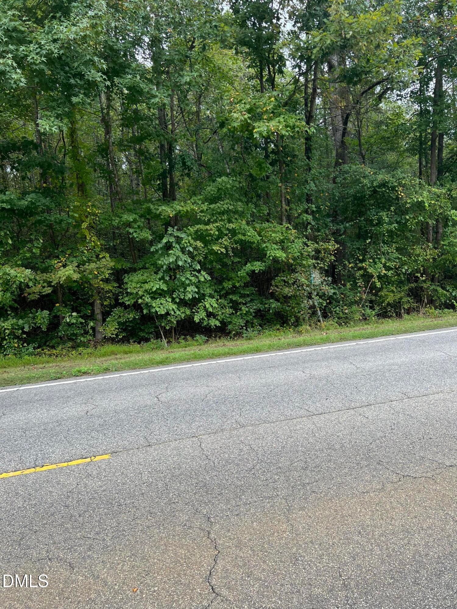 IMG_1164 - Lot 2 Us 264 Alt, Bailey, NC 27807