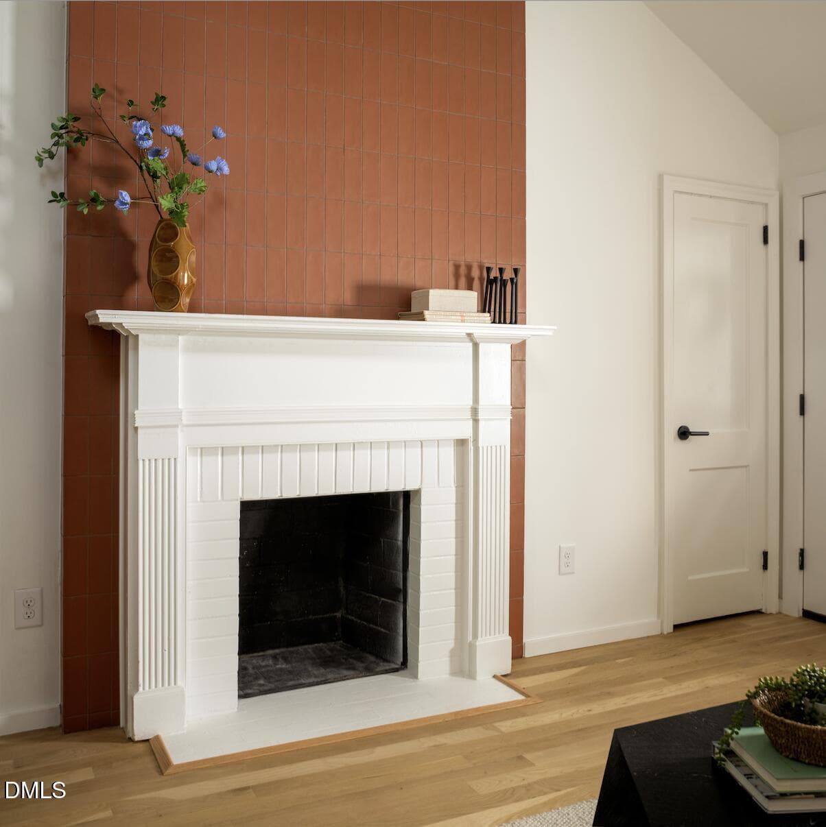 Fireplace - 1806 Maryland Avenue, Durham, NC 27705, Durham