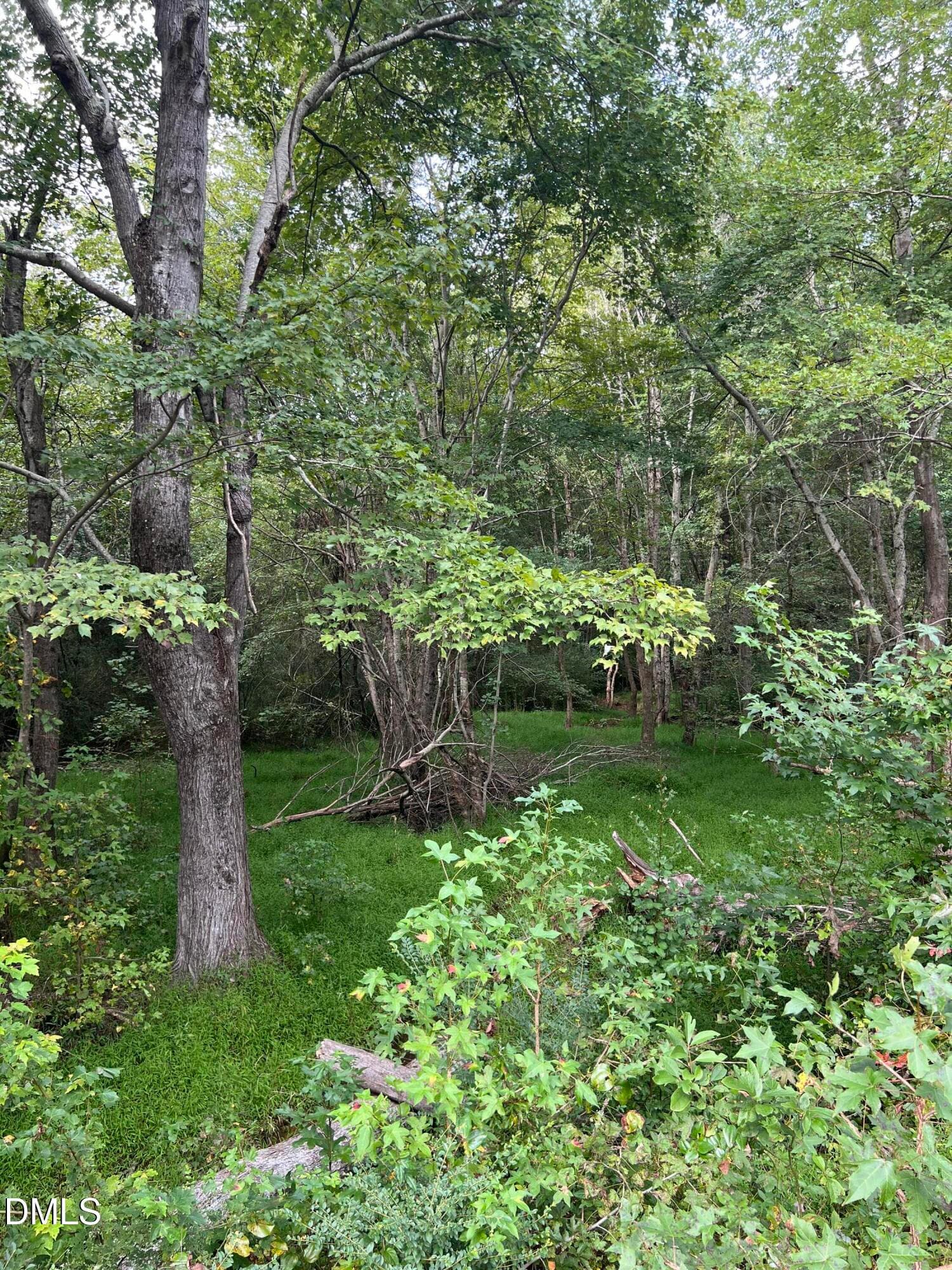 IMG_1161 - Lot 3 264 Alternate, Bailey, NC 27807