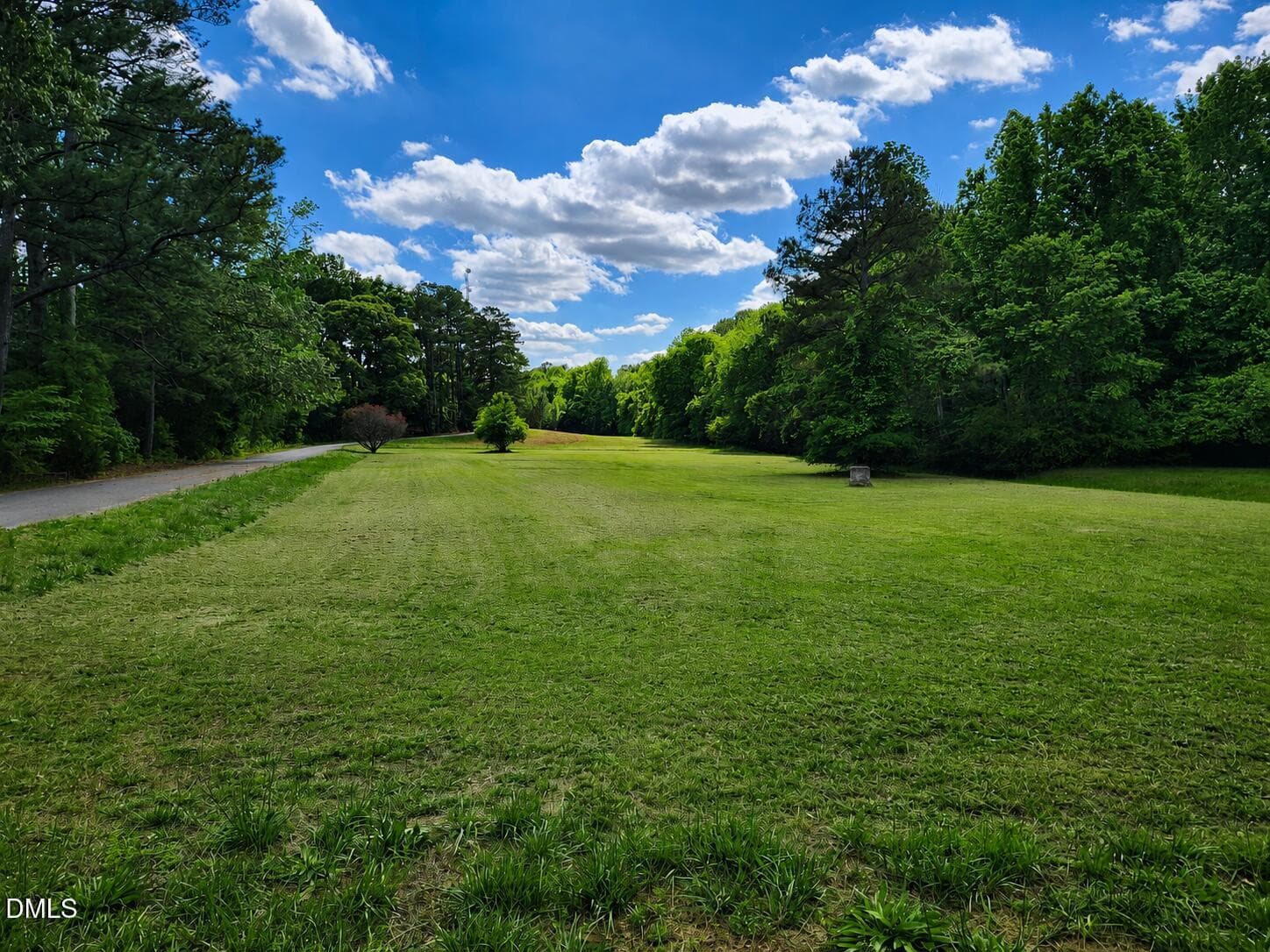 Build Your Private Forest Estate! - 00 Cemetery Drive, Rocky Mount, NC 27809, Rocky Mount