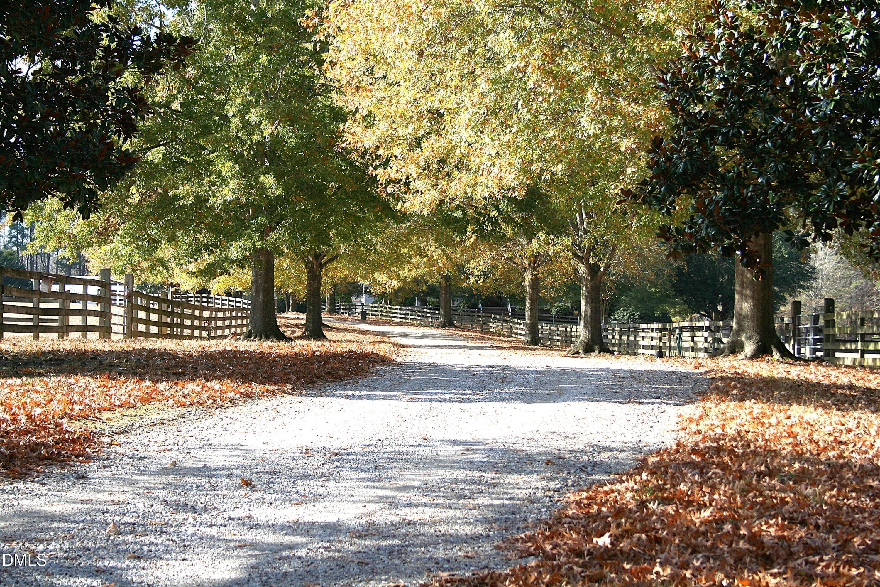 front drive - 220 Jordan Narron Road, Selma, NC 27576