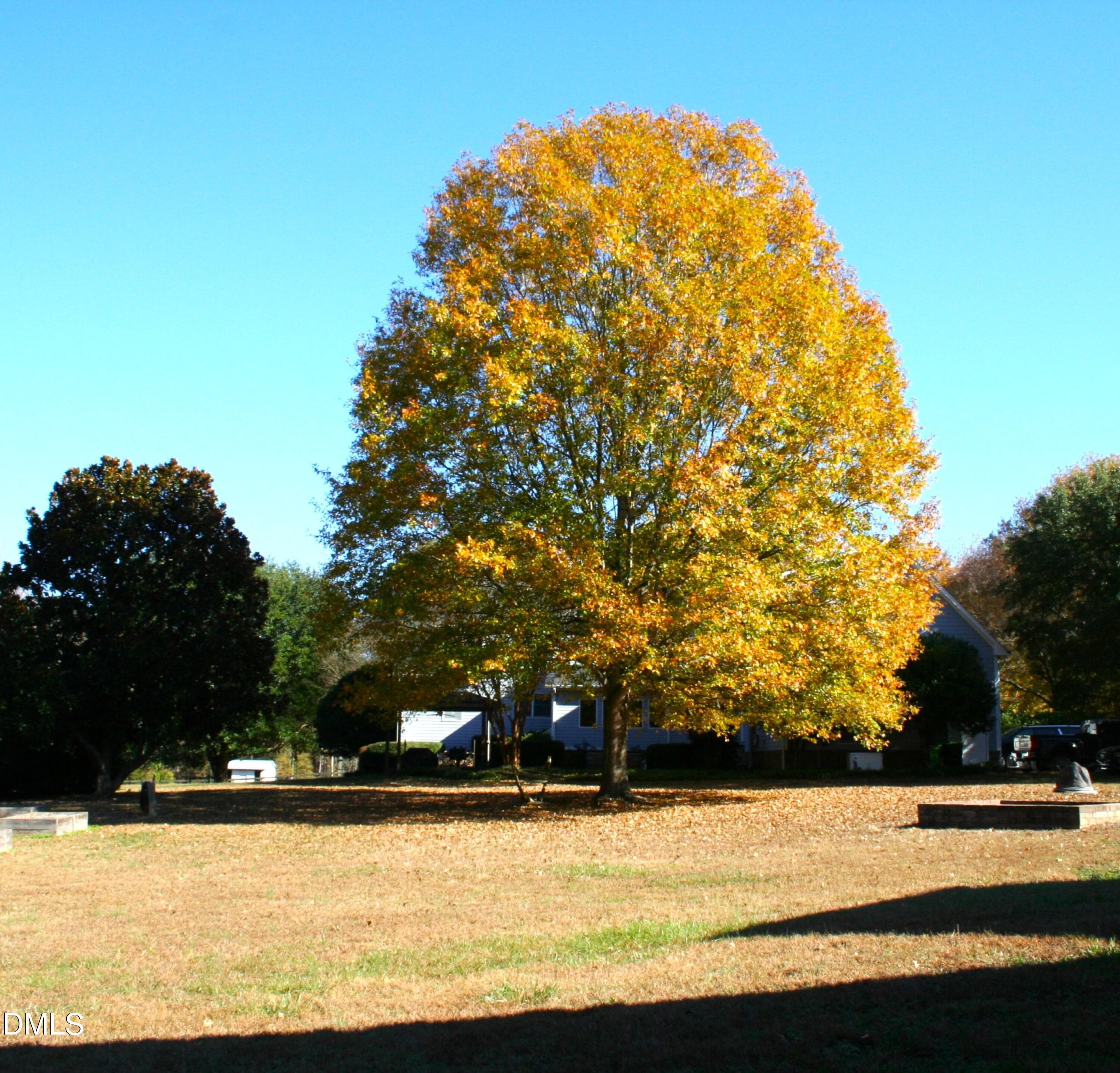 Beautiful Tree - 220 Jordan Narron Road, Selma, NC 27576