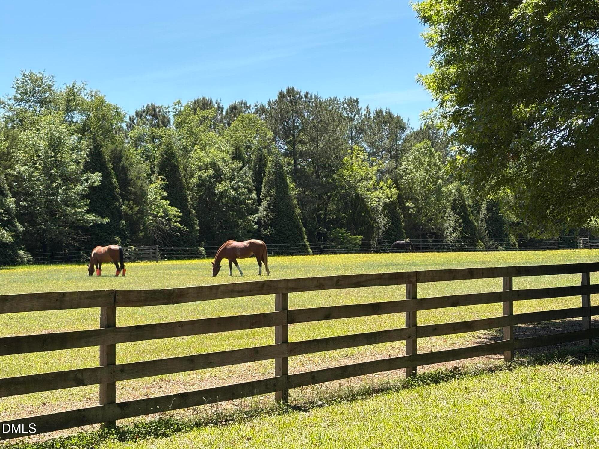 IMG_7184 - 220 Jordan Narron Road, Selma, NC 27576