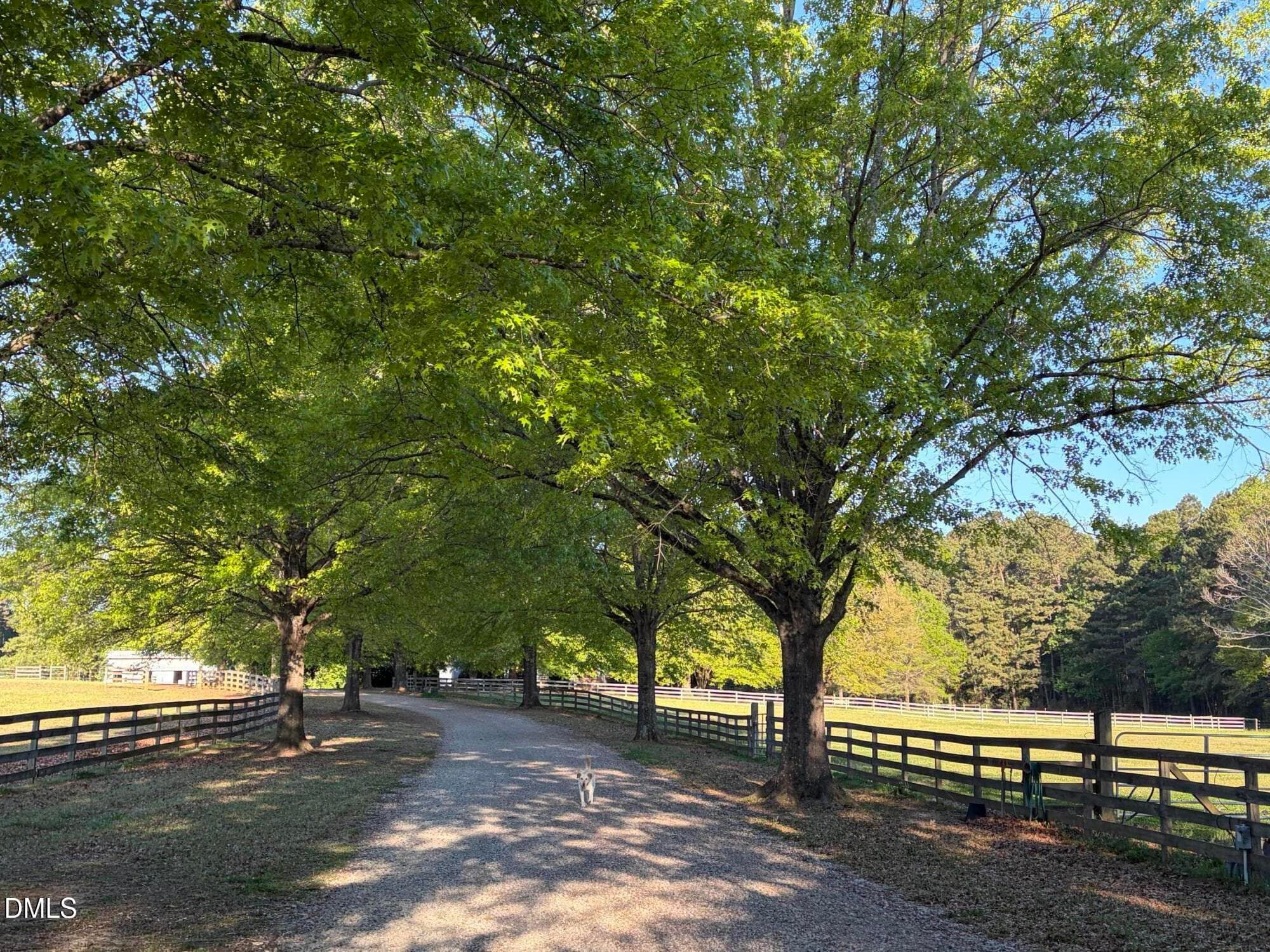 IMG_6819 - 220 Jordan Narron Road, Selma, NC 27576
