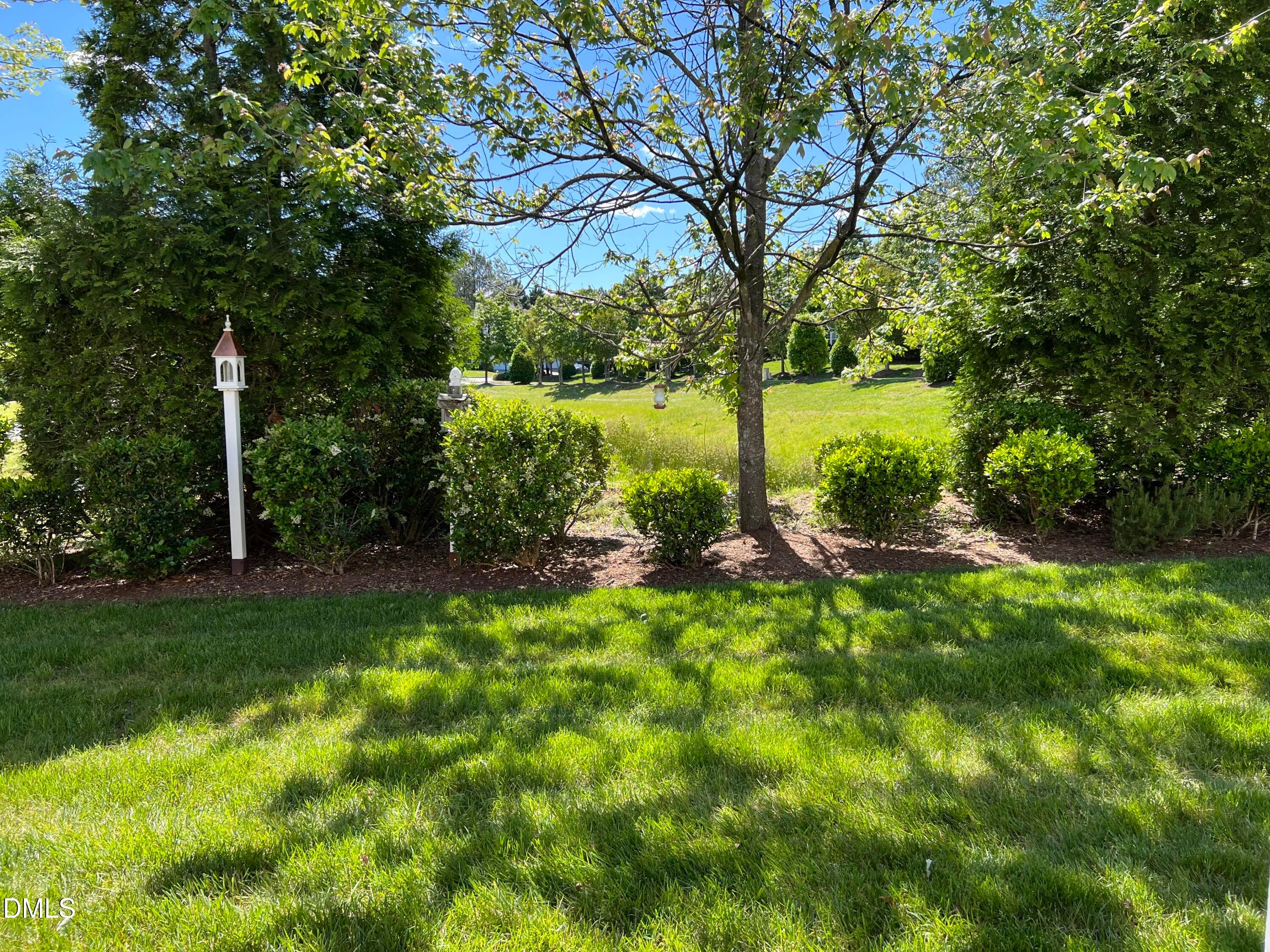 Backyard - 204 Royal Tower Way, Cary, NC 27513, Cary