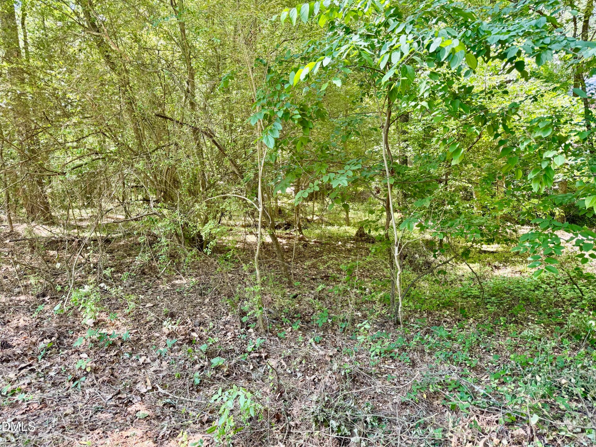 IMG_6261 - 84 Wintergreen Road, Henderson, NC 27537