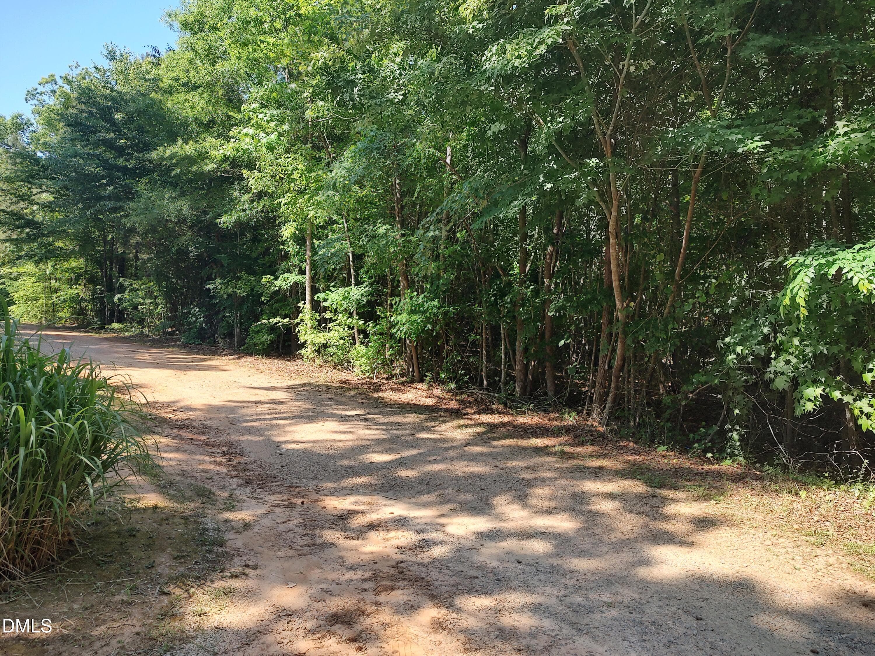 path view left side - 0 Gilliland Street, Warrenton, NC 27589