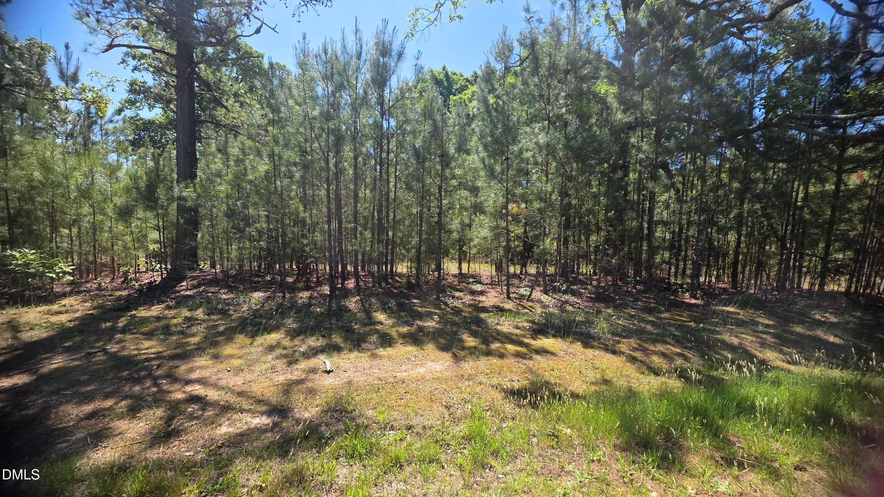 1000041050 - 352 Laurel Mill Road, Louisburg, NC 27549, Louisburg