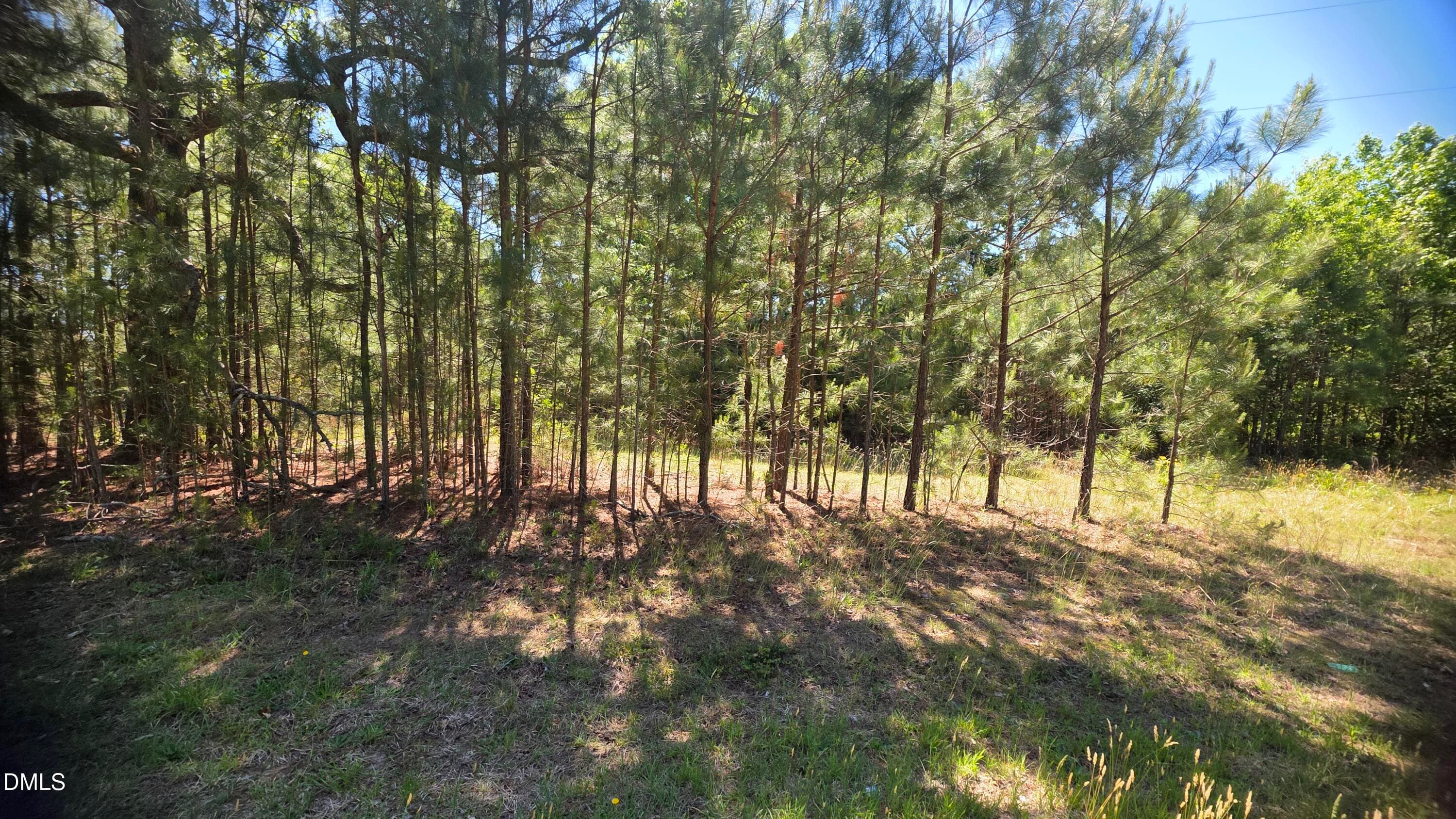 1000041051 - 352 Laurel Mill Road, Louisburg, NC 27549, Louisburg