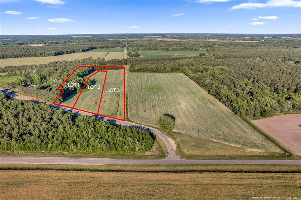 00 Pope Wray (Lot 1) Road, Turkey, NC 28341