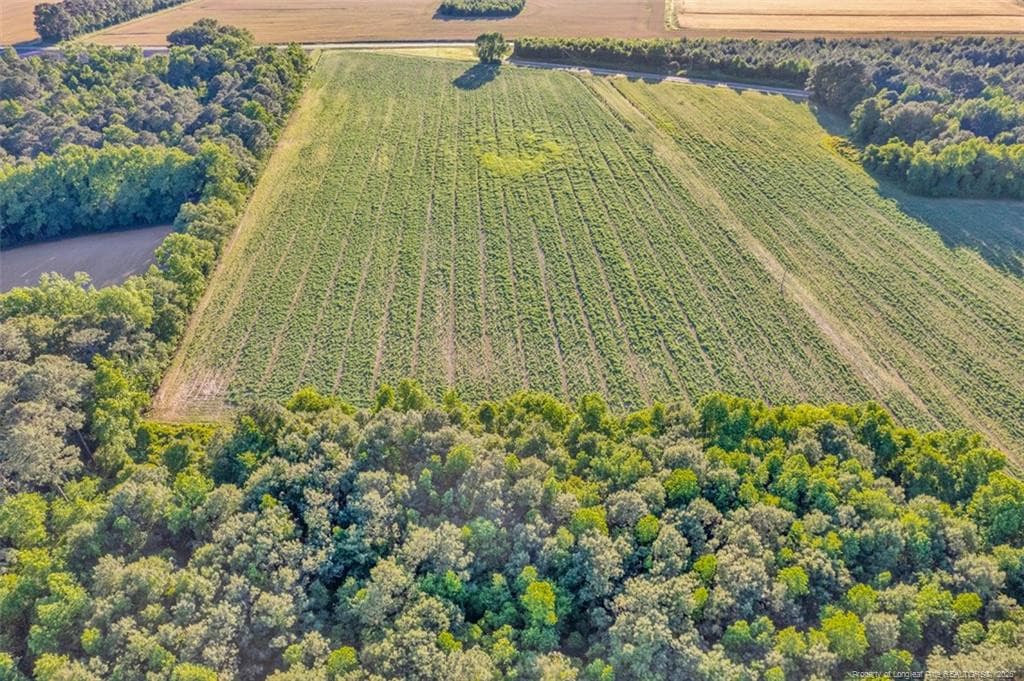 Photo 6 - 00 Pope Wray (Lot 1) Road, Turkey, NC 28341
