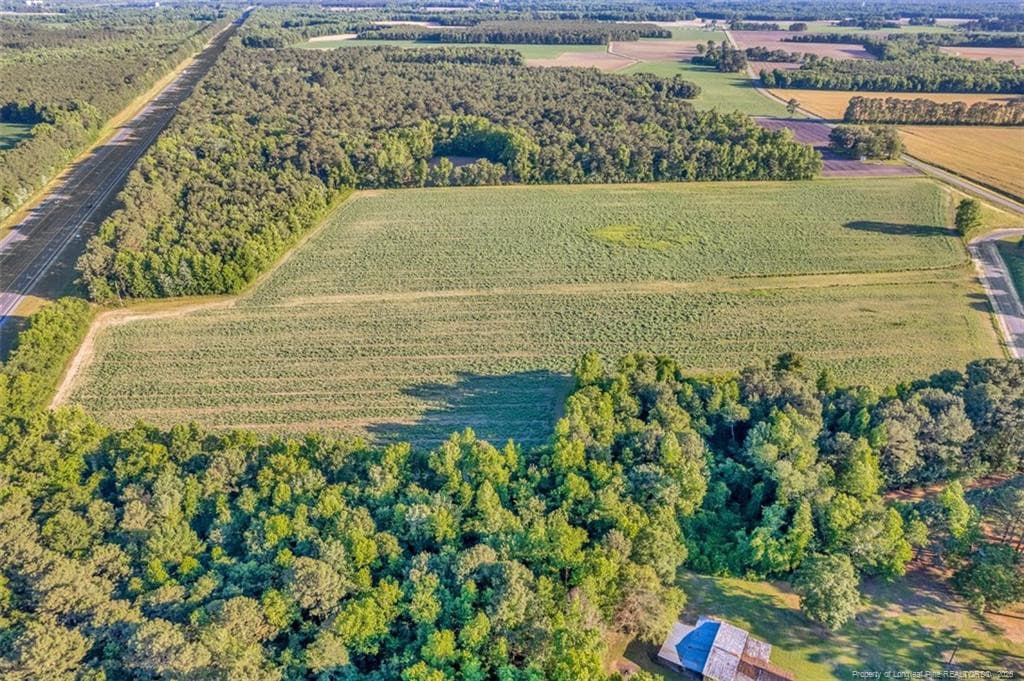 Photo 11 - 00 Pope Wray (Lot 1) Road, Turkey, NC 28341
