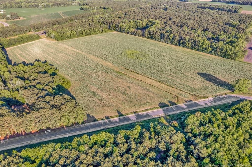 Photo 14 - 00 Pope Wray (Lot 3) Road, Turkey, NC 28393
