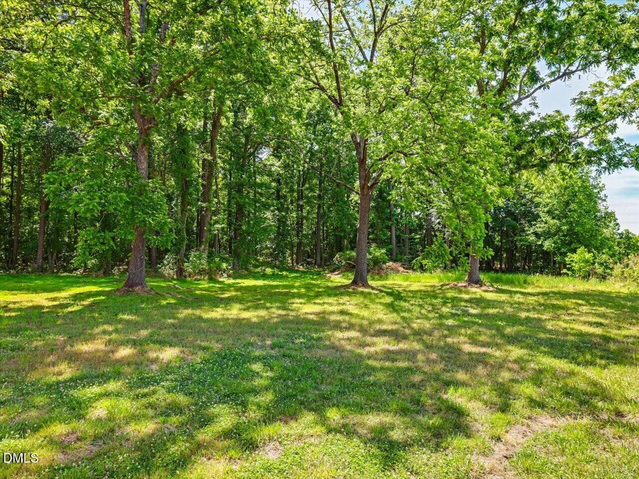 47-Backyard - 300 Redman Crossing Road, Mebane, NC 27302