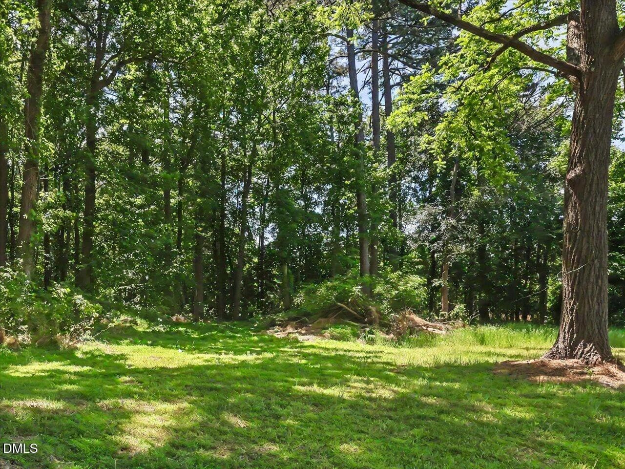 48-Backyard - 300 Redman Crossing Road, Mebane, NC 27302