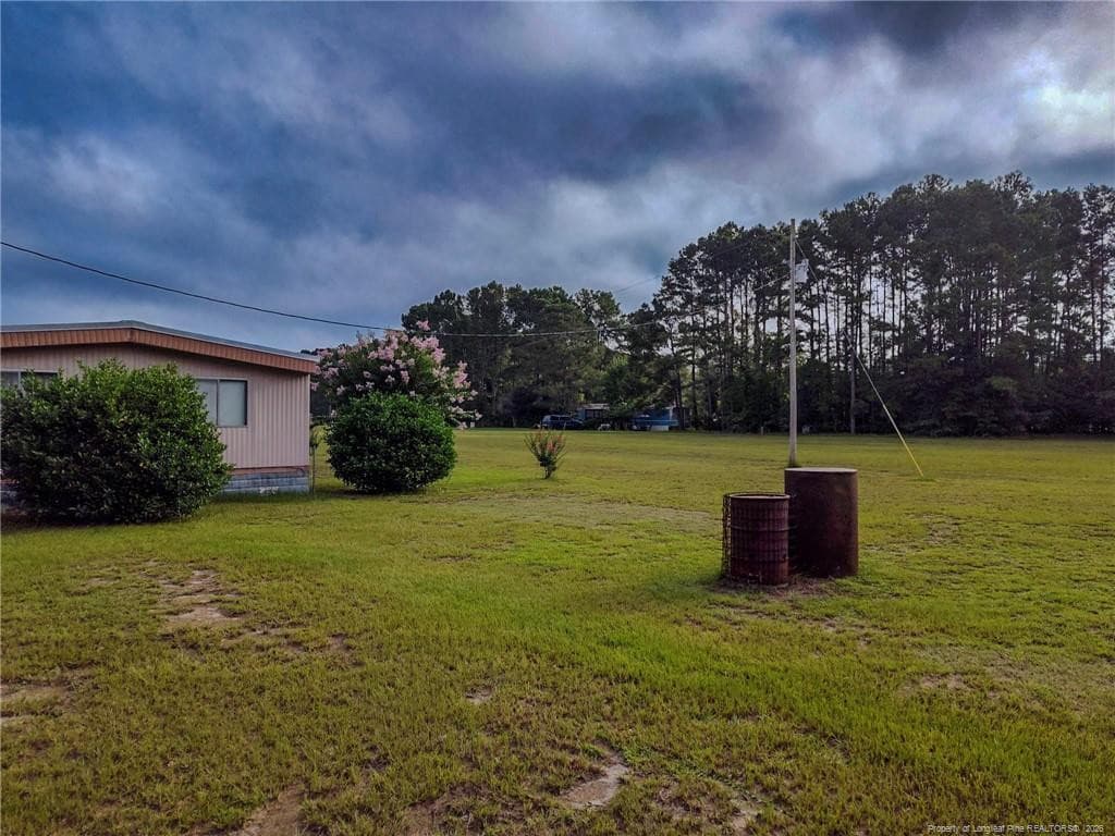 Photo 30 - 1308 Mac D Road, Orrum, NC 28369