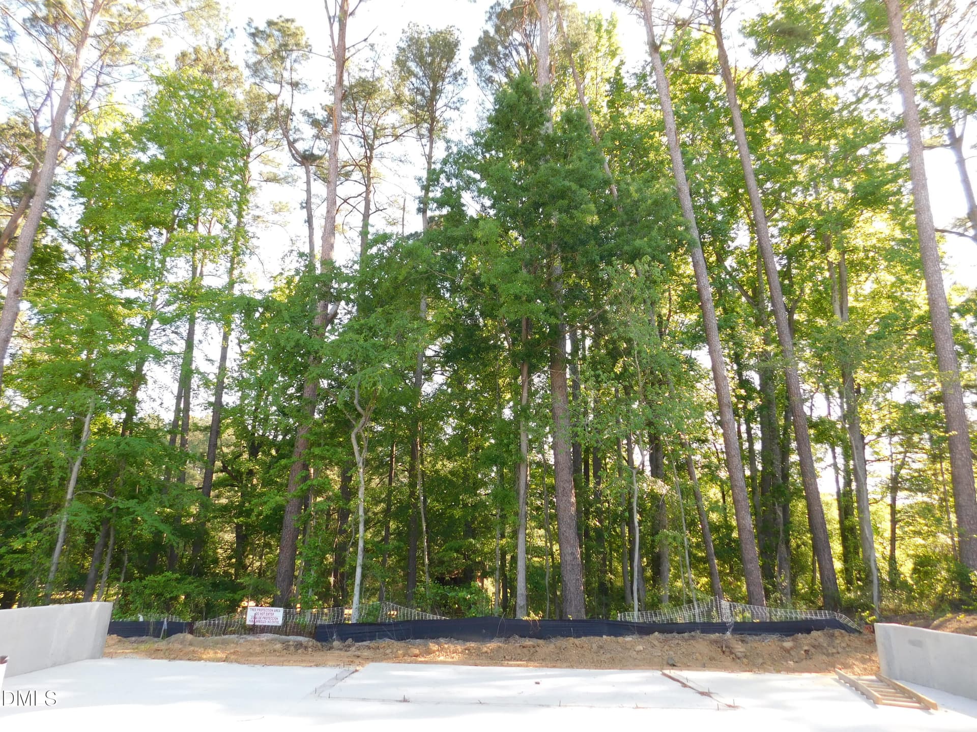 DSCN0047 - 2546 Vining Branch Way, Apex, NC 27523