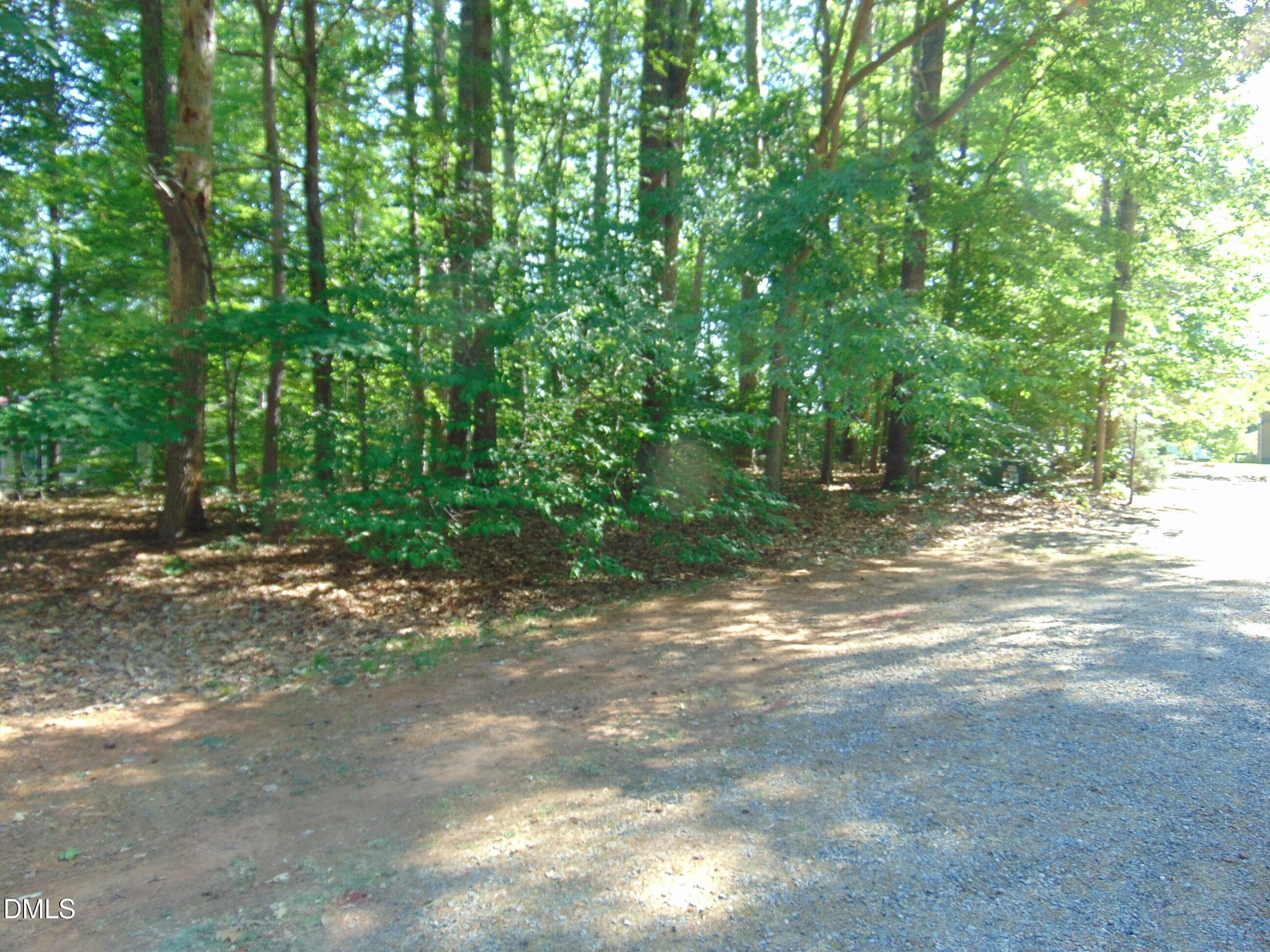 DSC02992 - 3107 Piney Point Drive, Bullock, NC 27507