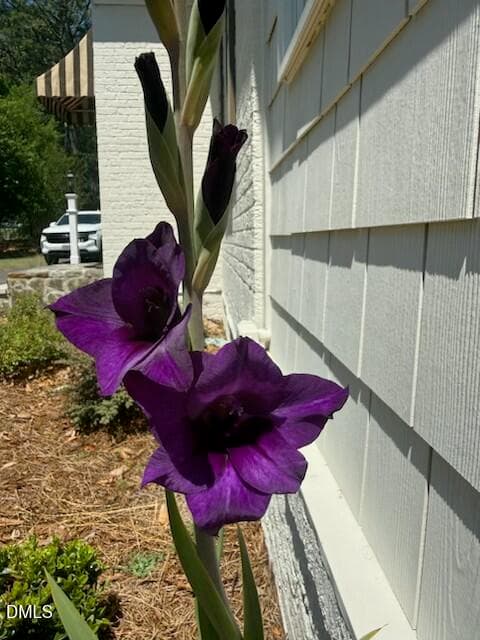 Iris 706 - 706 W Front Street, Lillington, NC 27546