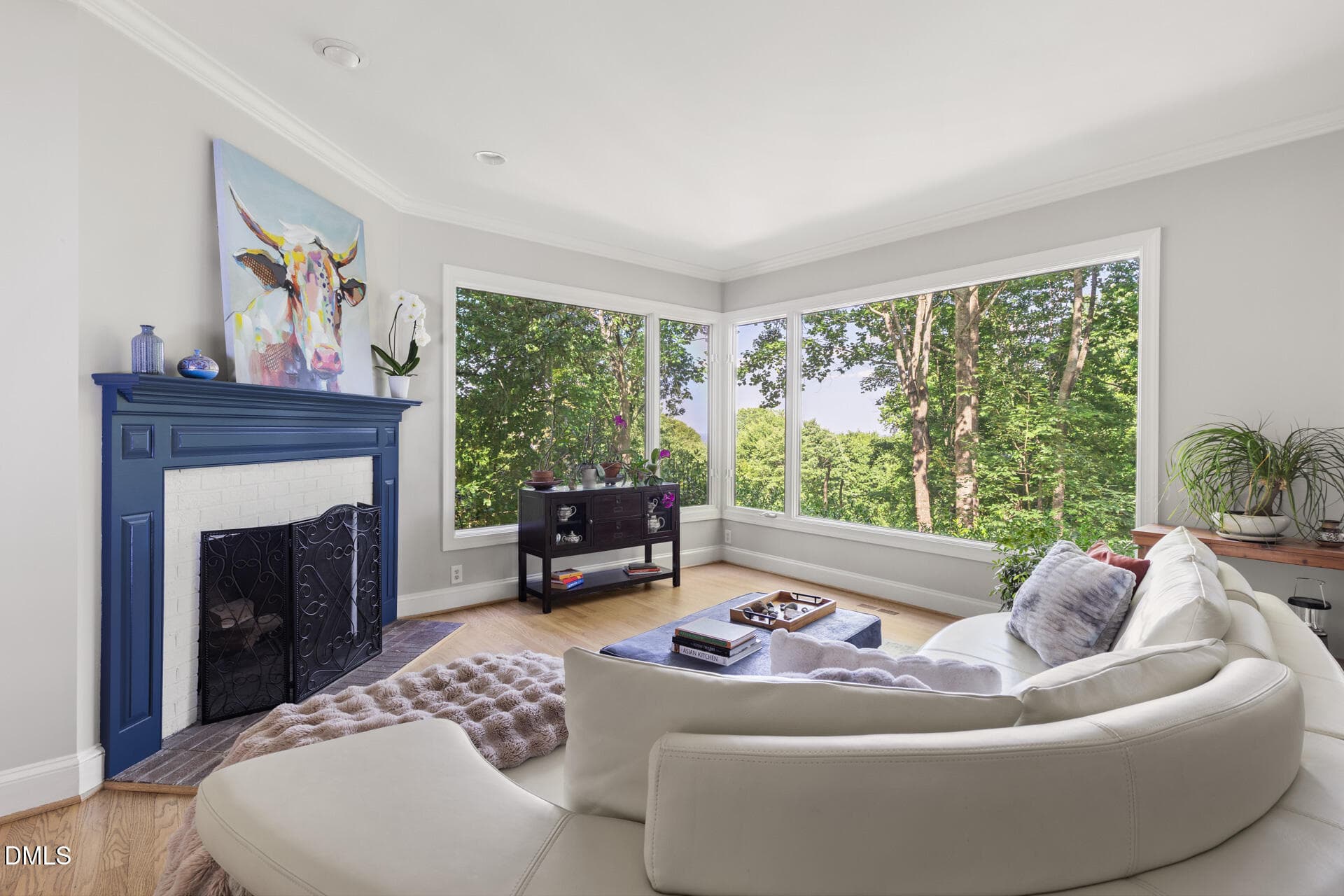 VIEWS - 12928 Morehead, Chapel Hill, NC 27517, Chapel Hill