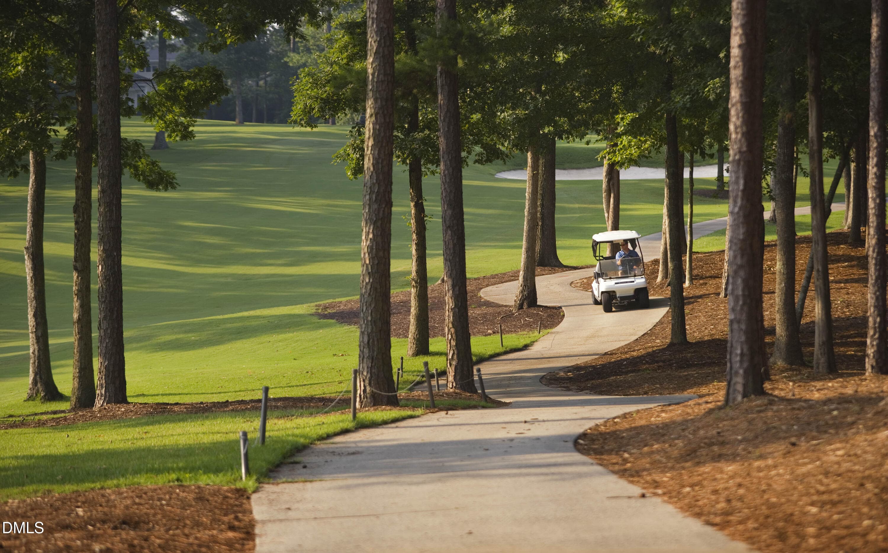 GC Golf Cart - 12928 Morehead, Chapel Hill, NC 27517, Chapel Hill