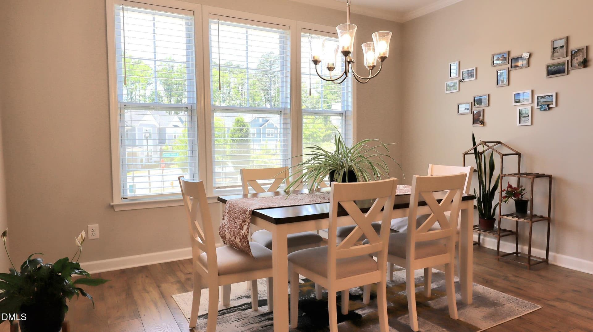 IMG_2032 - 700 Carraway Garden Drive, Wake Forest, NC 27587