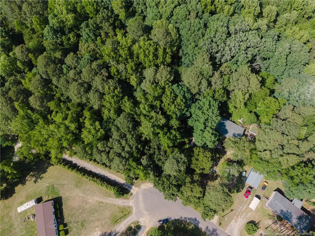 Photo 3 - 8201 Oakcliff Lane, Angier, NC 27501