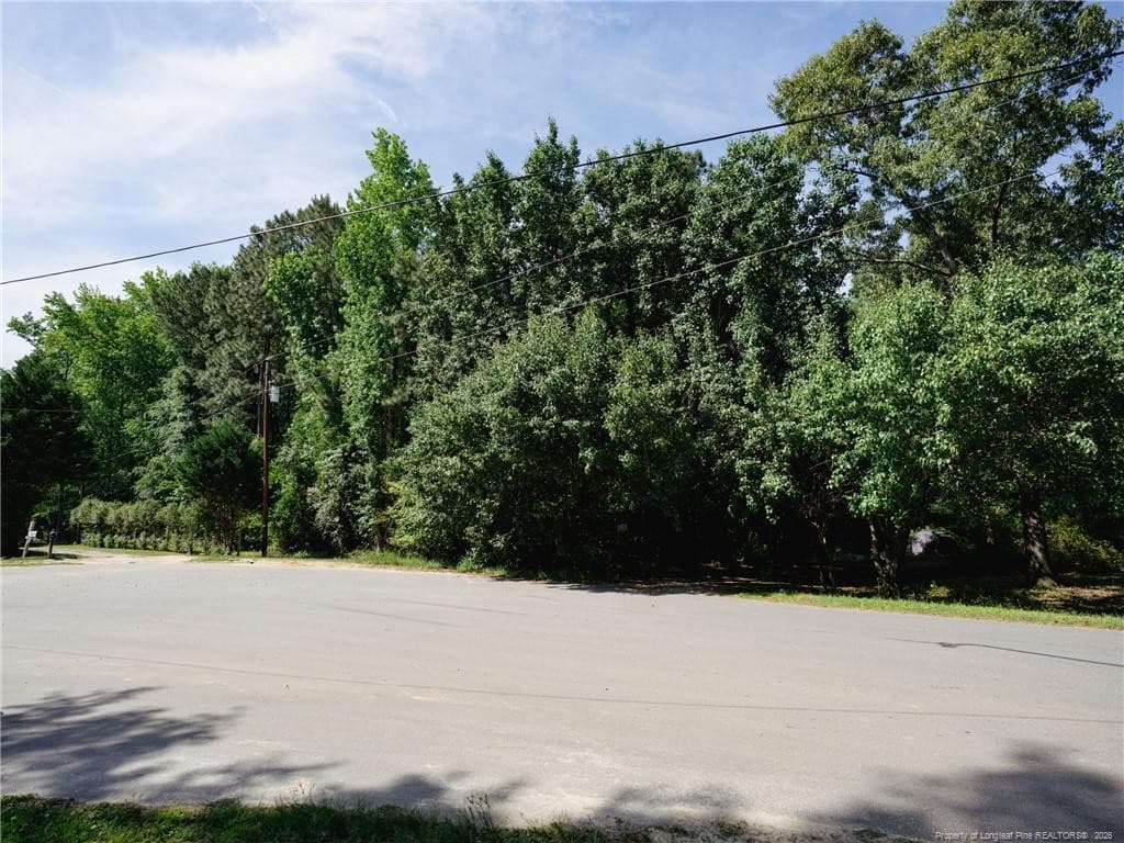 Photo 8 - 8201 Oakcliff Lane, Angier, NC 27501