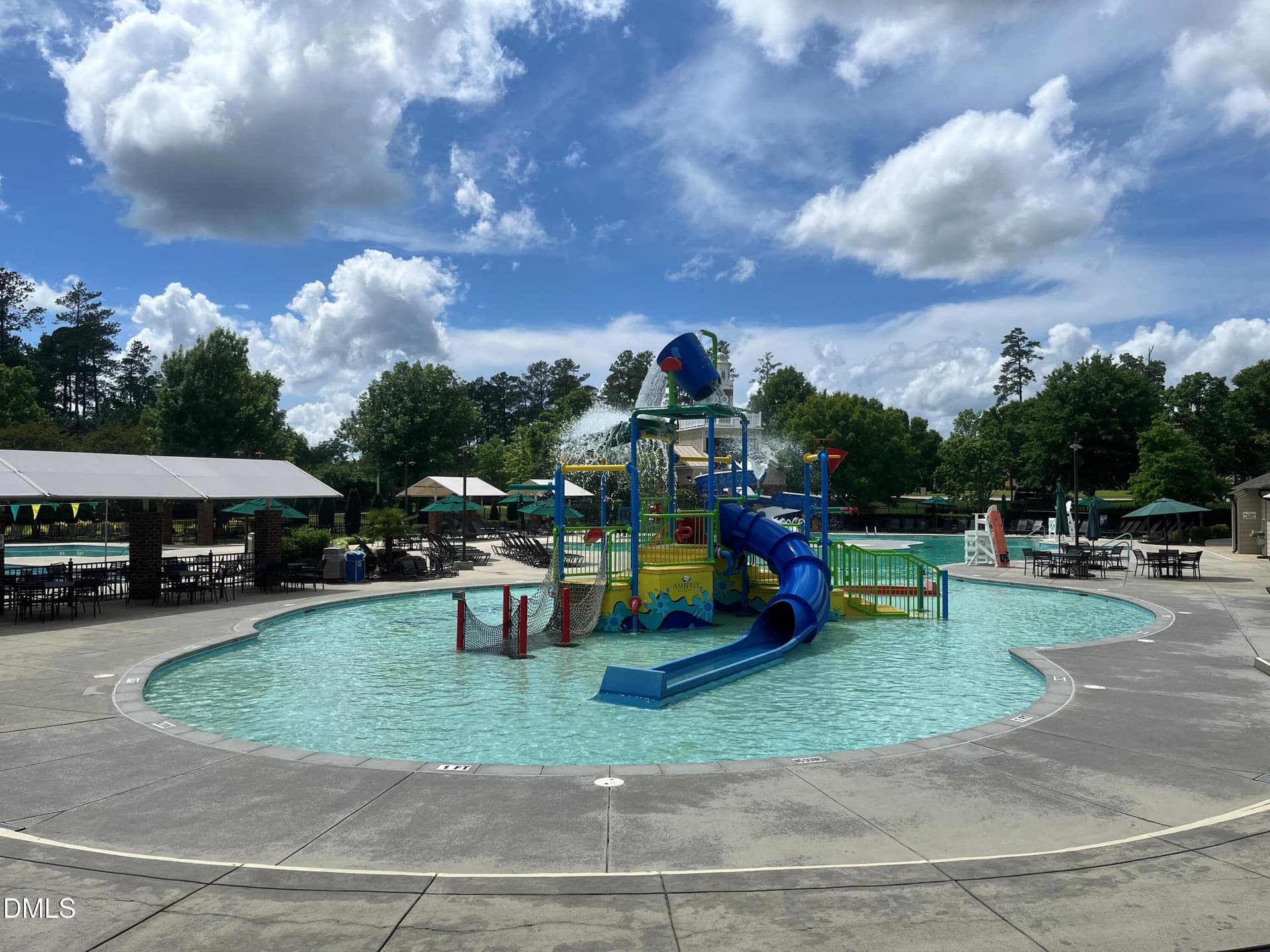 Summer pool - 724 Peninsula Forest Place, Cary, NC 27519