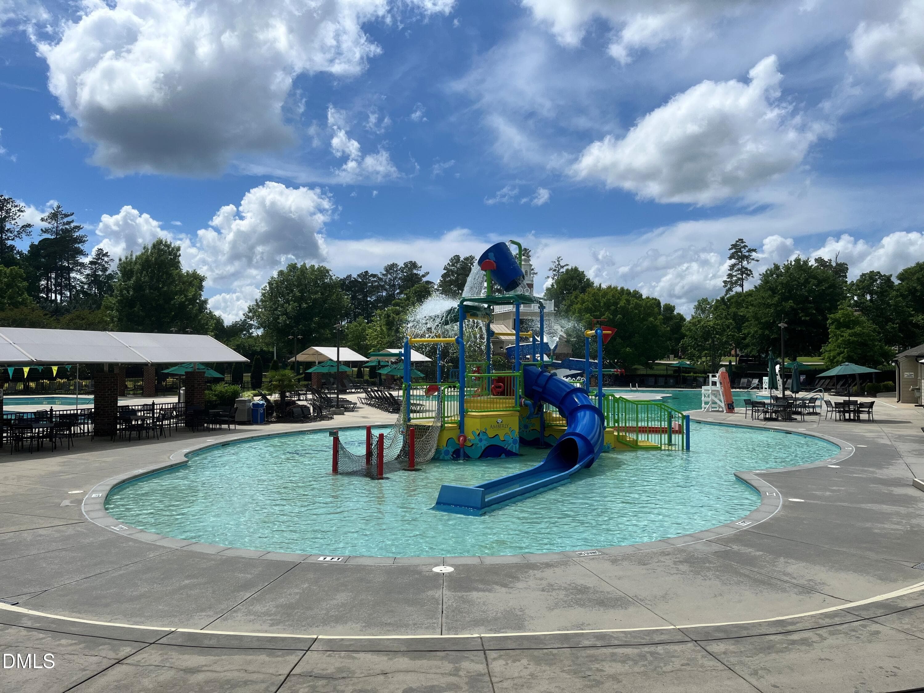 Summer pool - 724 Peninsula Forest Place, Cary, NC 27519, Cary