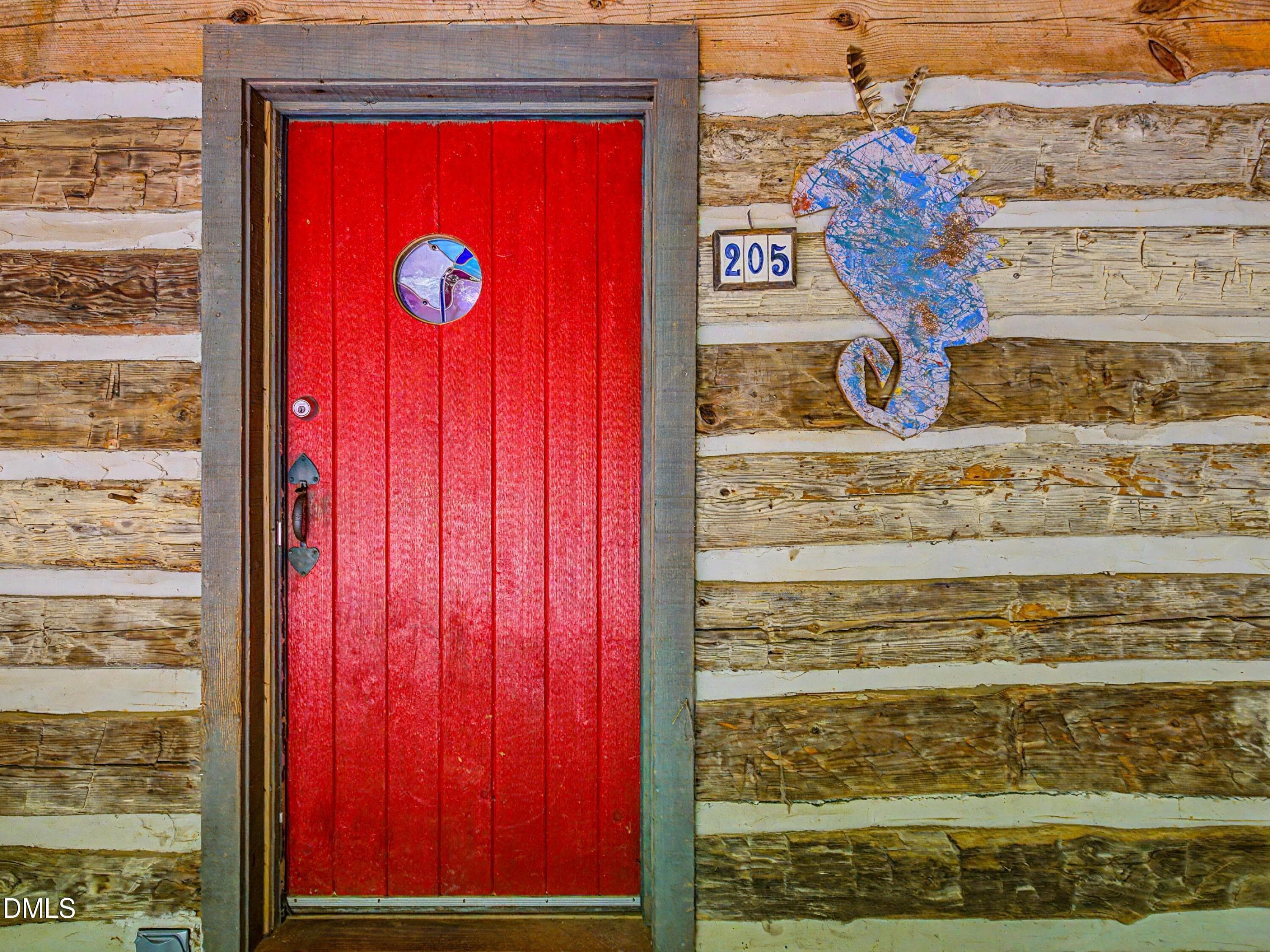 205 Anolis red door entry - 205 Anolis Drive, Pittsboro, NC 27312