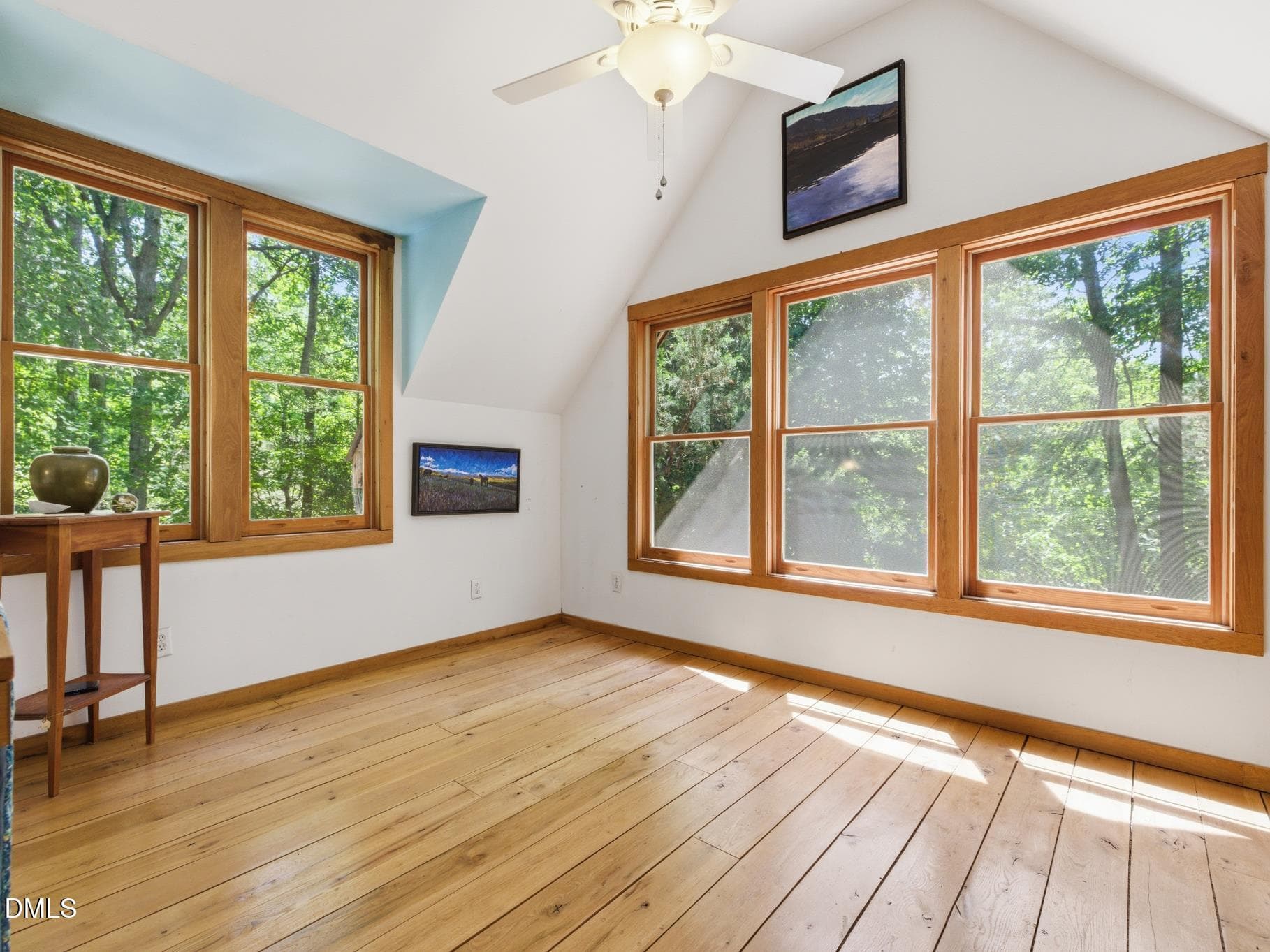 205 Anolis master 2 - 205 Anolis Drive, Pittsboro, NC 27312