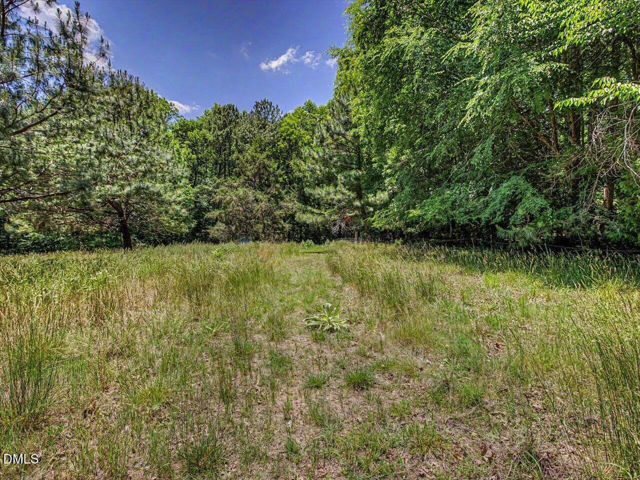 205 Anolis pasture ground level - 205 Anolis Drive, Pittsboro, NC 27312