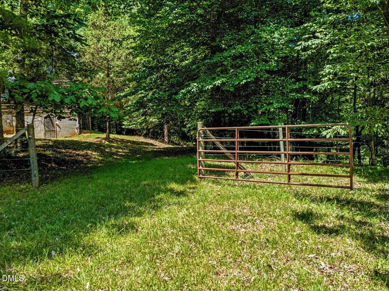 205 Anolis pasture 4 - 205 Anolis Drive, Pittsboro, NC 27312