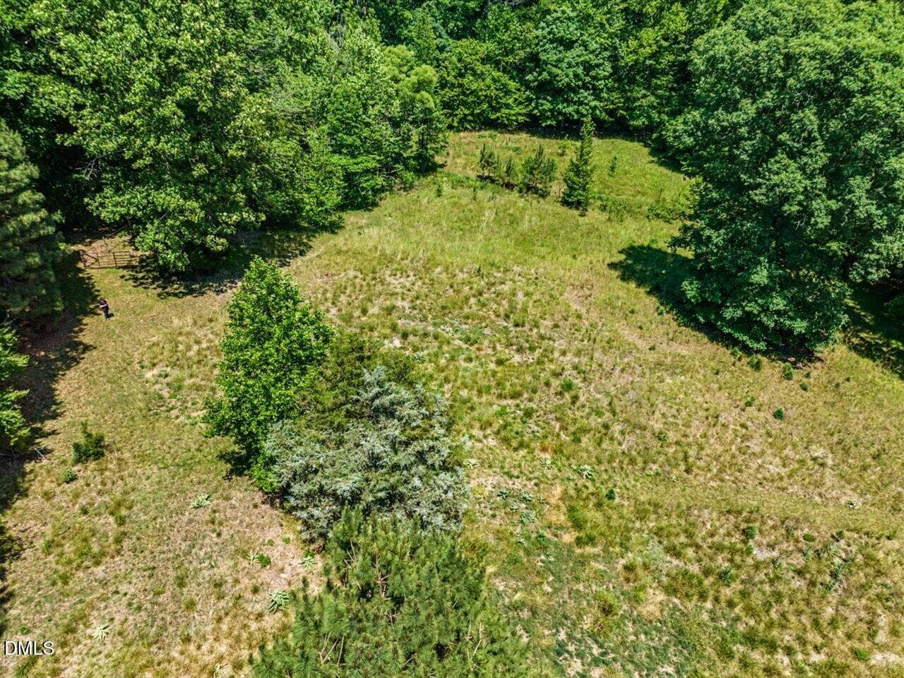 205 Anolis pasture 2 - 205 Anolis Drive, Pittsboro, NC 27312