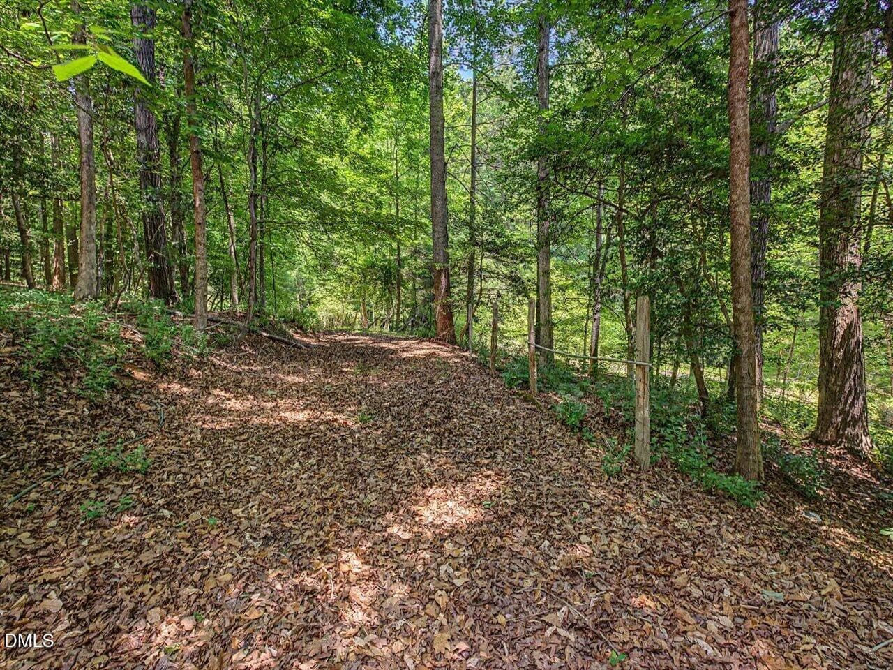 205 Anolis path - 205 Anolis Drive, Pittsboro, NC 27312