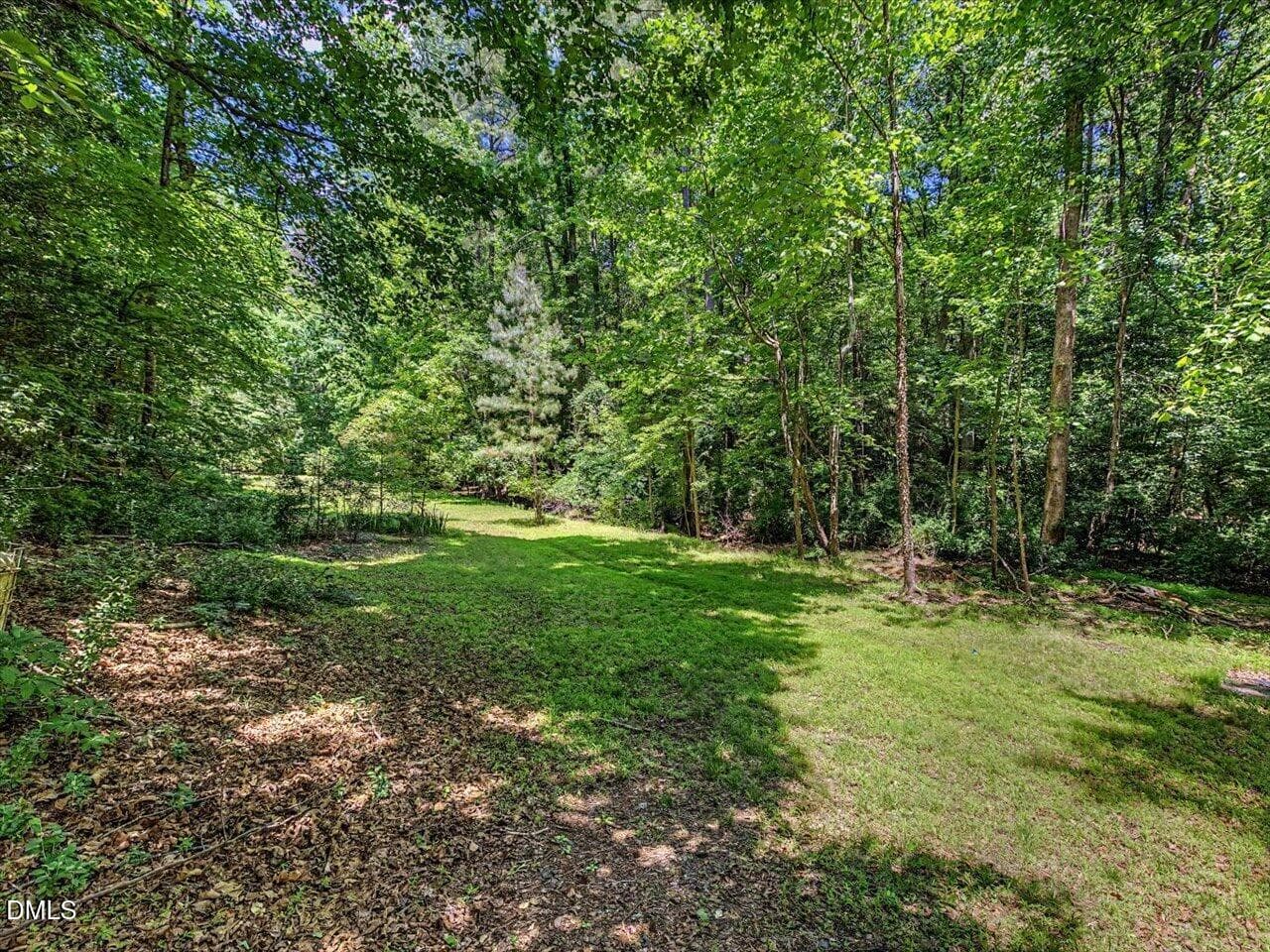 205 Anolis pasture - 205 Anolis Drive, Pittsboro, NC 27312