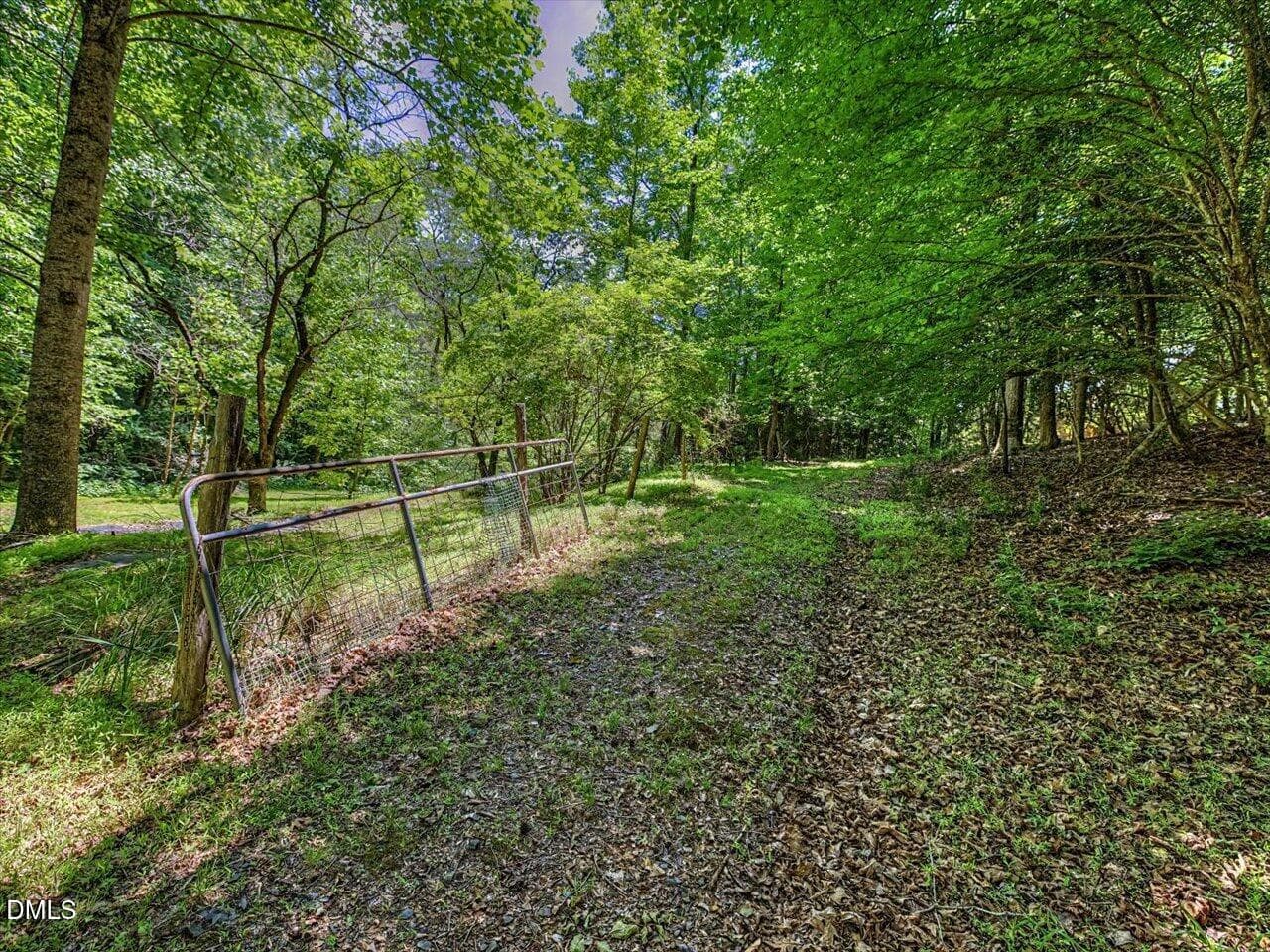 205 Anolis horse path - 205 Anolis Drive, Pittsboro, NC 27312