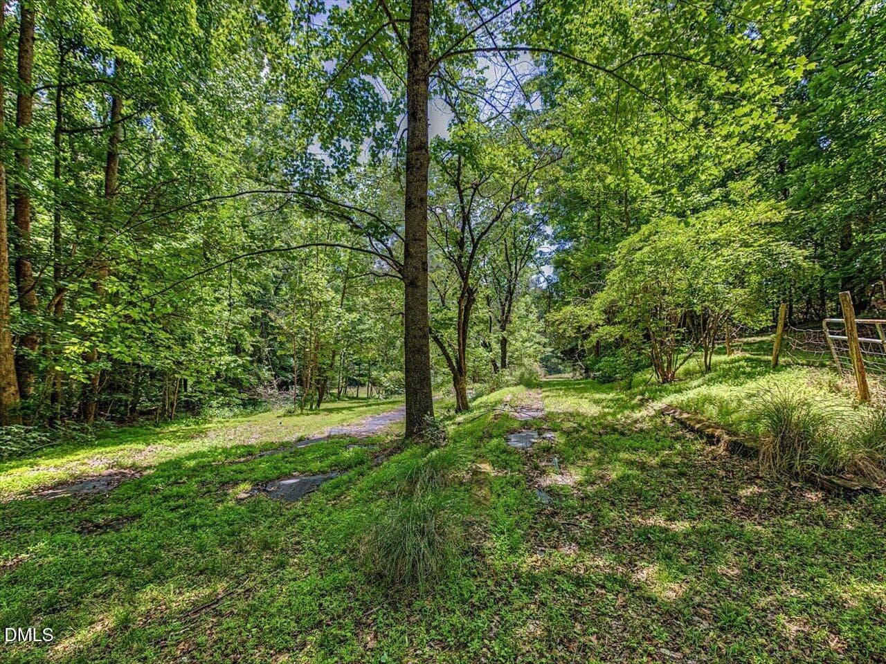 205 Anolis terrace 2 - 205 Anolis Drive, Pittsboro, NC 27312