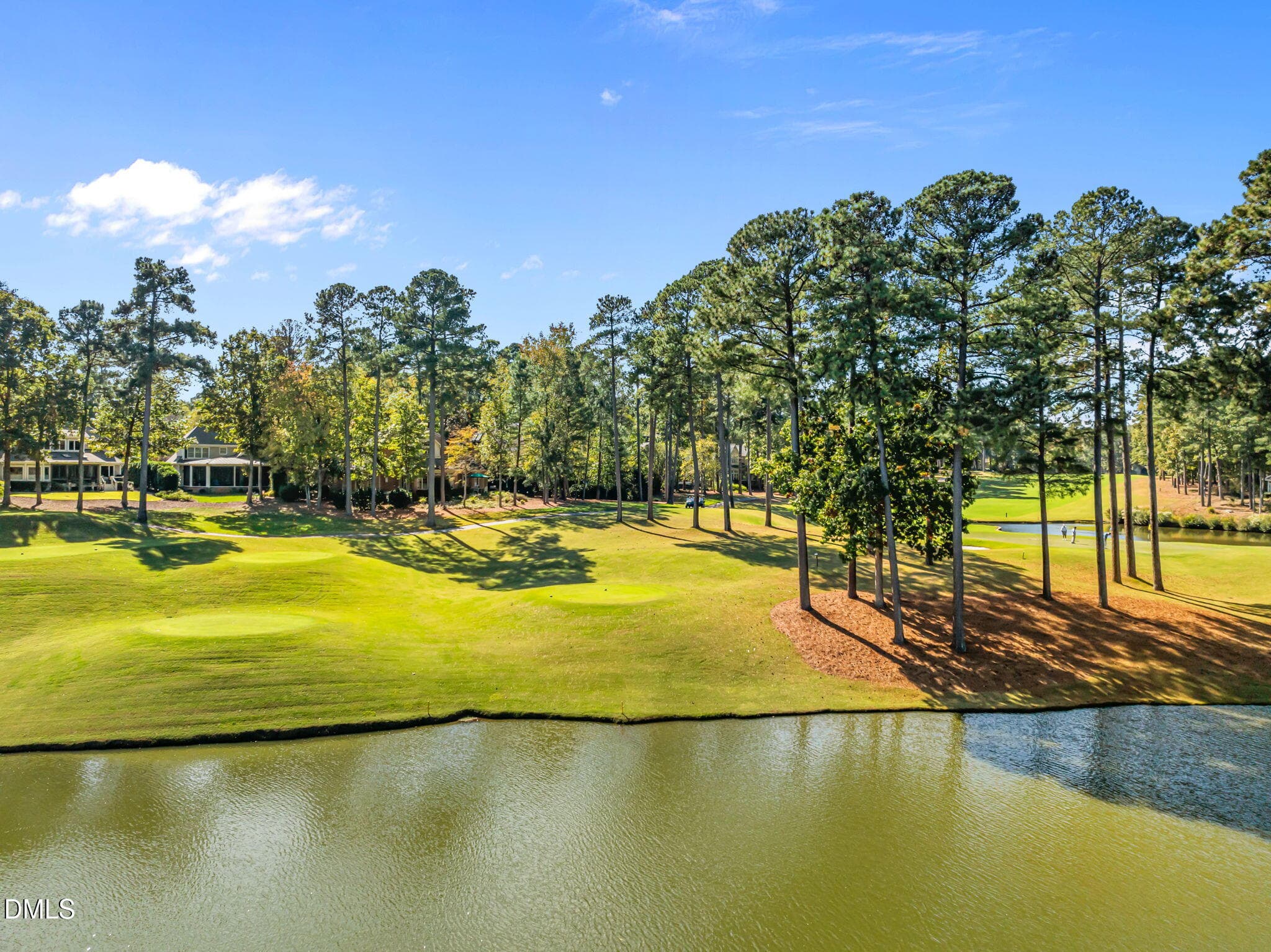 11-web-or-mls-DJI_0389 - 50013 Brogden, Chapel Hill, NC 27517, Chapel Hill