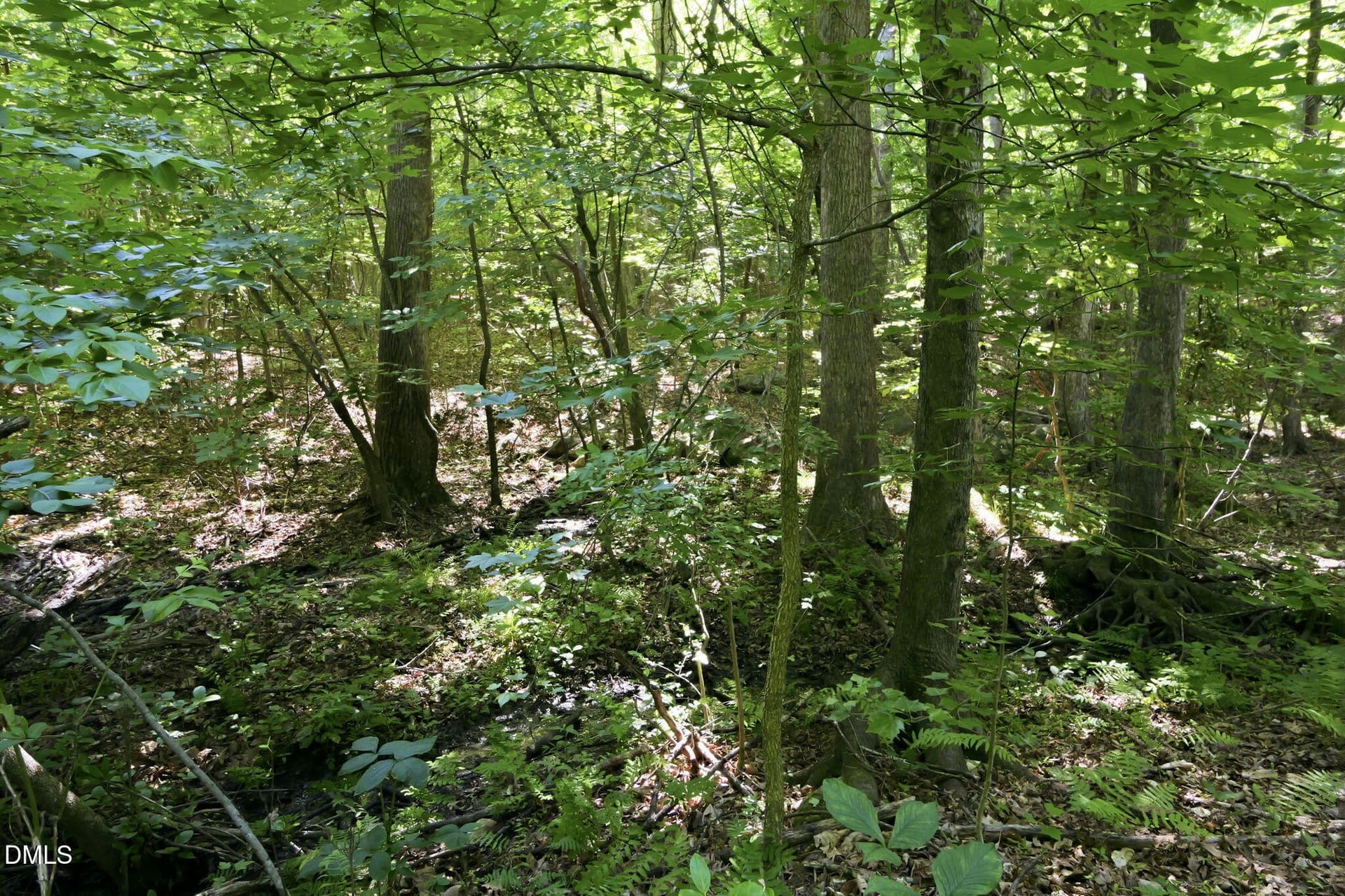 64-web-or-mls-P1127951 - 314 Old Salem Road, Roxboro, NC 27573