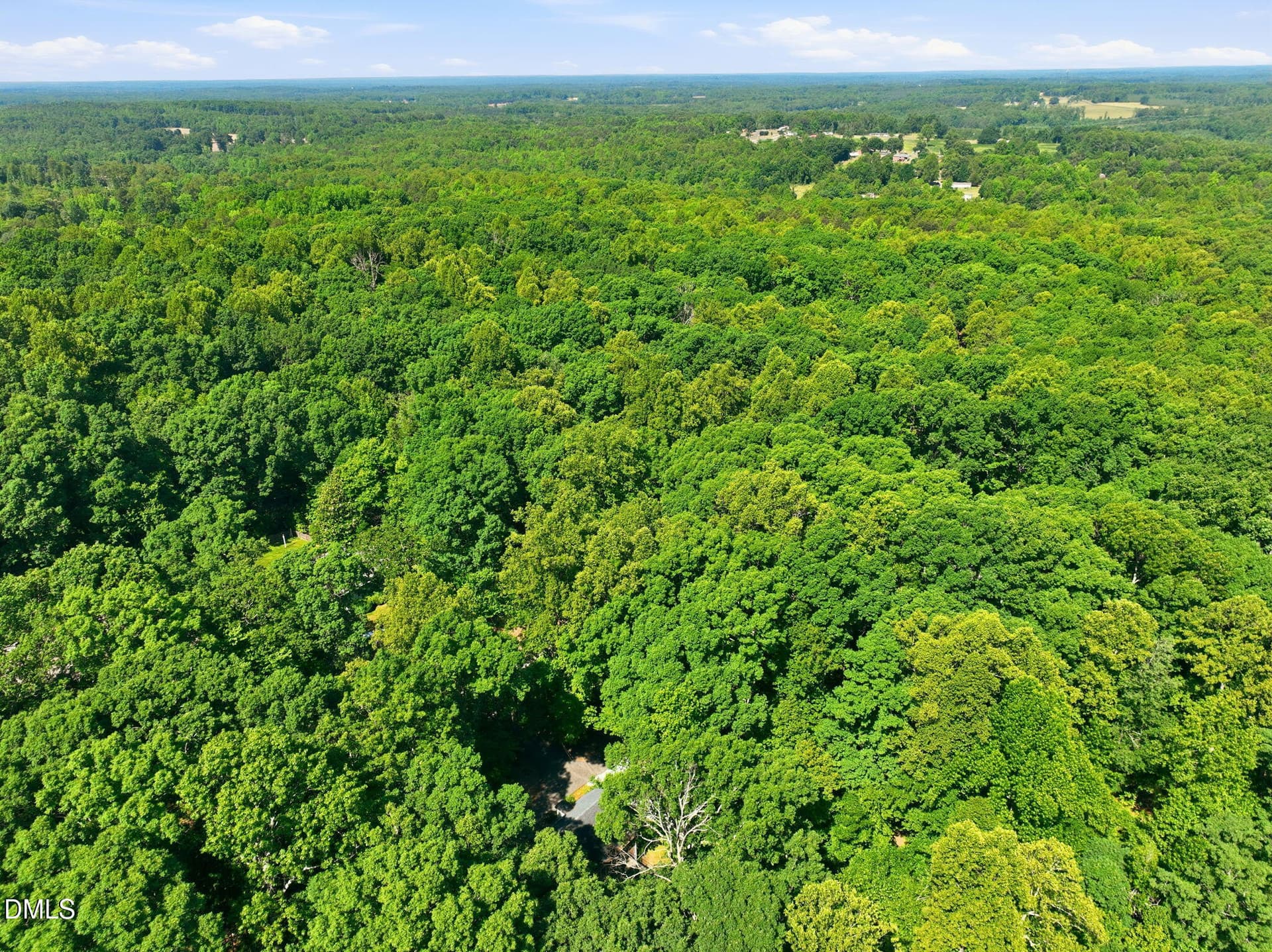 8-web-or-mls-DJI_0950 - 314 Old Salem Road, Roxboro, NC 27573