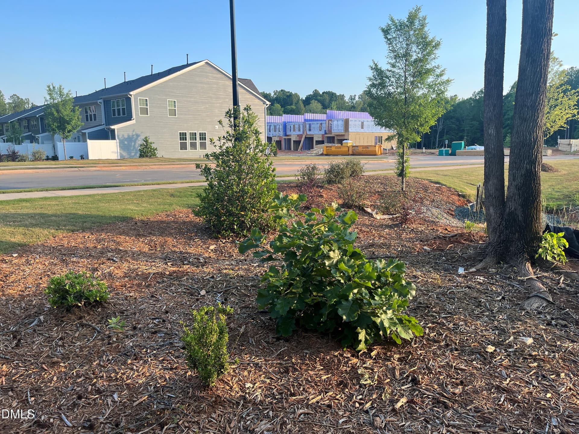 landscaping and sidewalks - 1278 Hammond Drive, Mebane, NC 27302