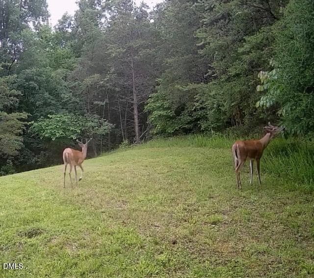image6 - 354 Wenasa Trail, Yanceyville, NC 27379