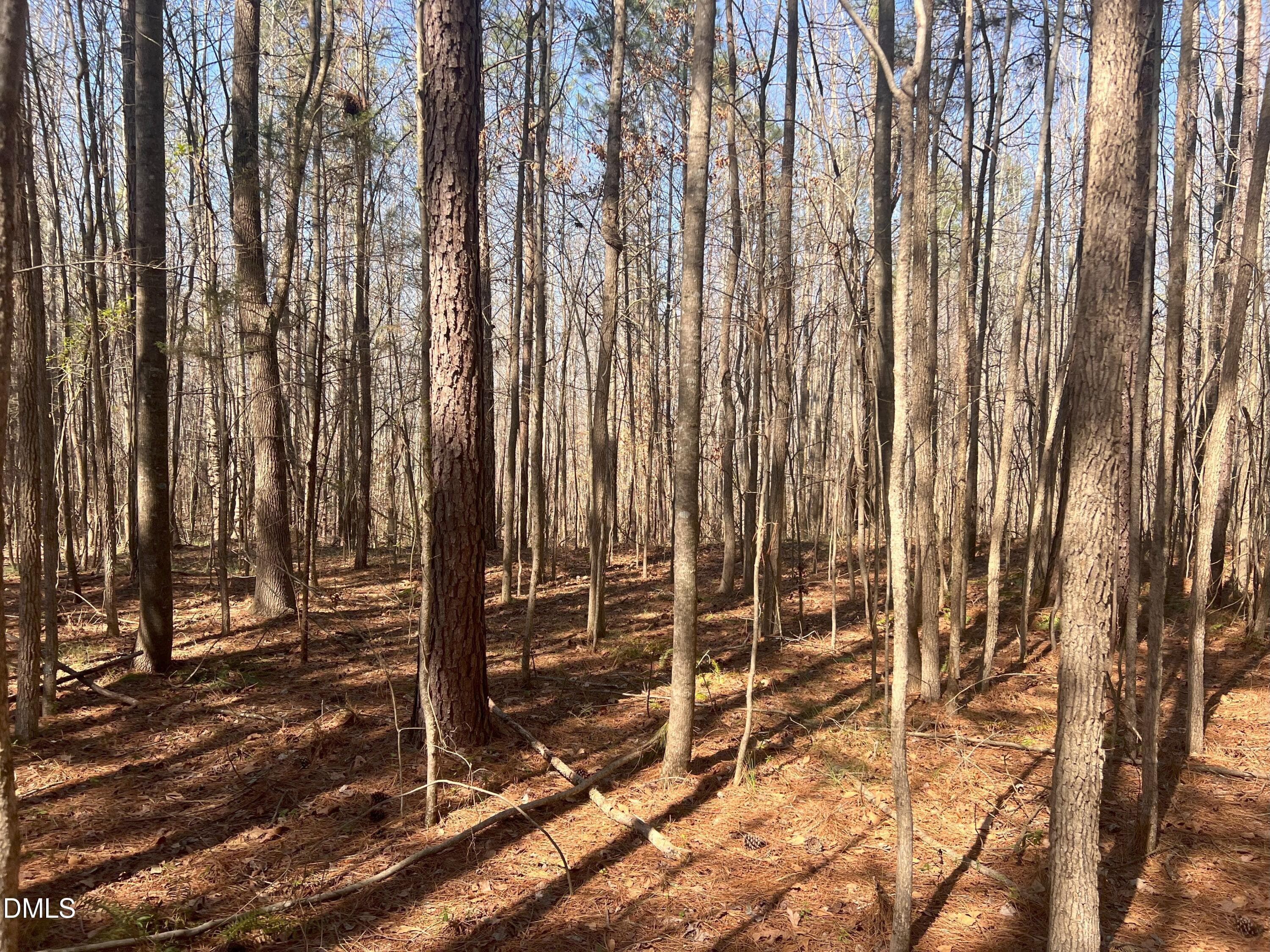 IMG_1081 - Lot 7 Fishing Creek Road, Enfield, NC 27823