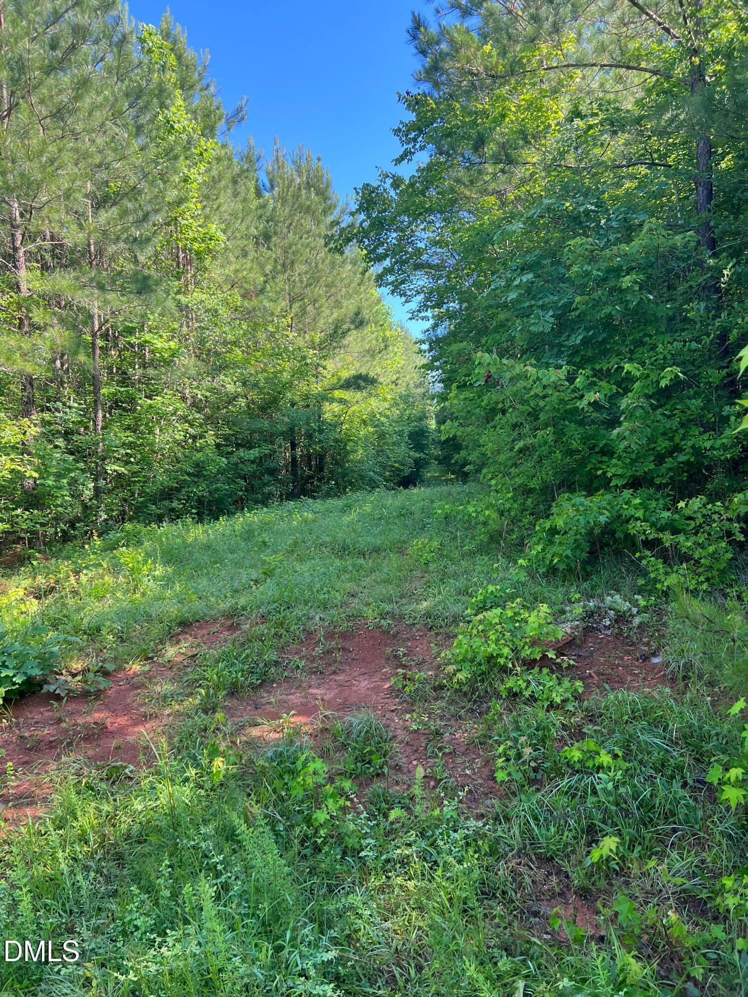 IMG_8673 - Lot 7 Fishing Creek Road, Enfield, NC 27823