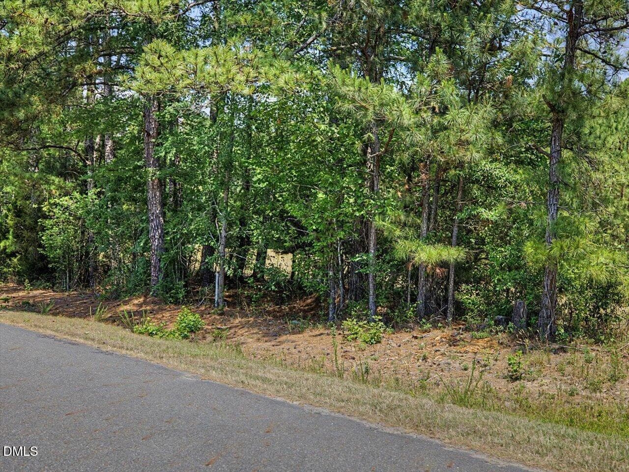 19-019-Chatham-Parcel-81582-ClydeFarrell - Lot 2b Clyde Farrell Road, Apex, NC 27523