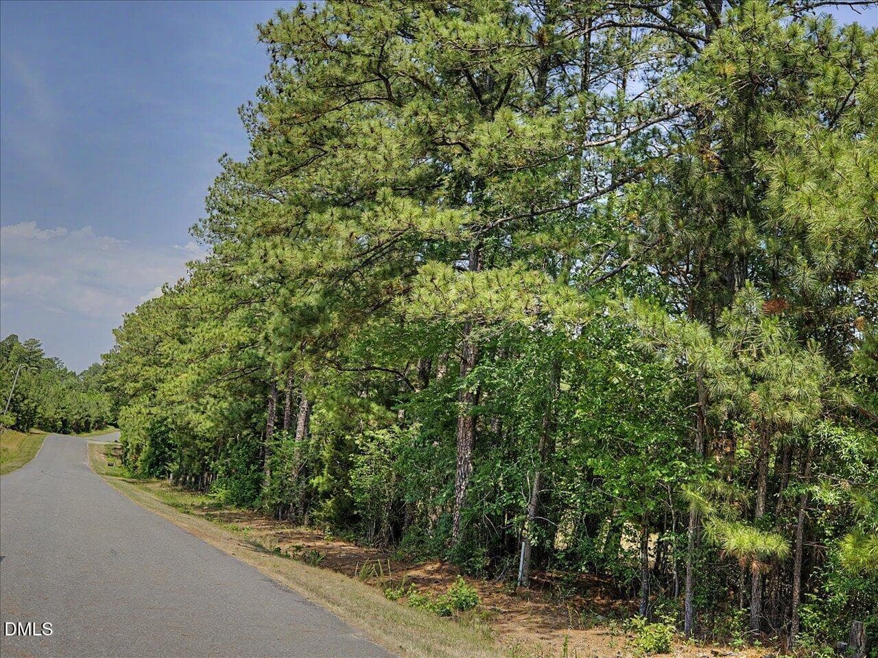 20-020-Chatham-Parcel-81582-ClydeFarrell - Lot 2b Clyde Farrell Road, Apex, NC 27523